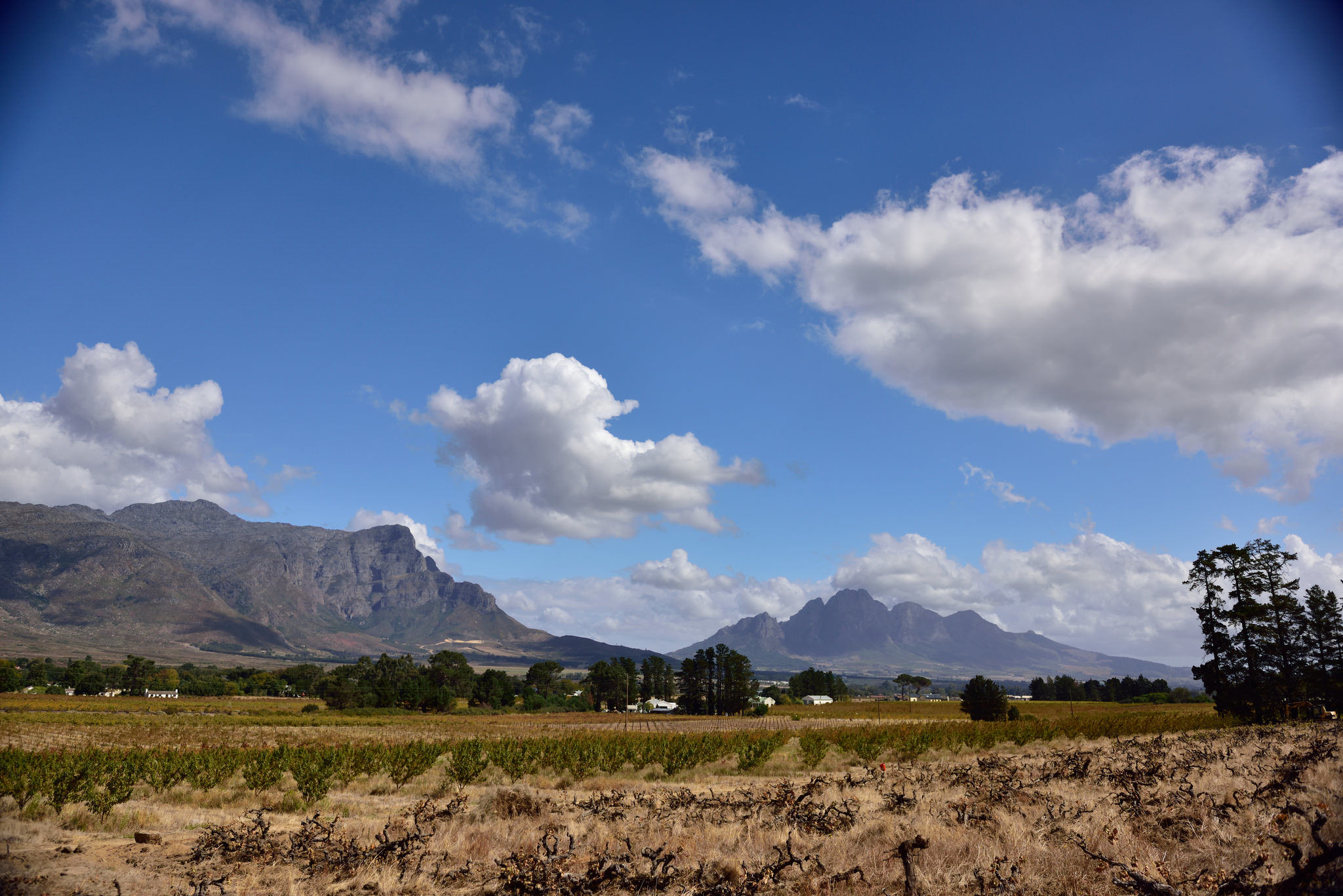 Country House en Safari Lodge