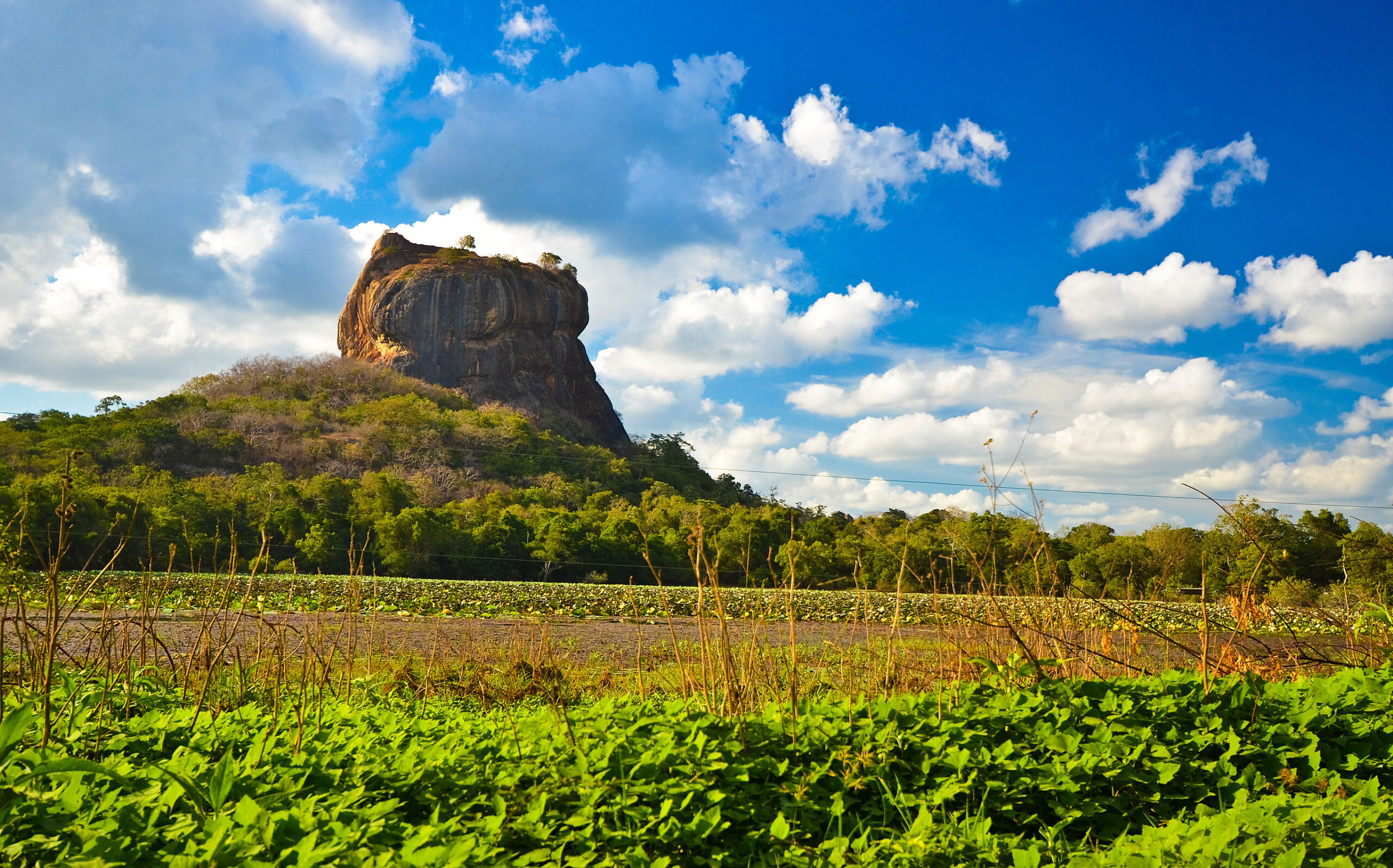 Kerstvakantie Sri Lanka in 2 weken