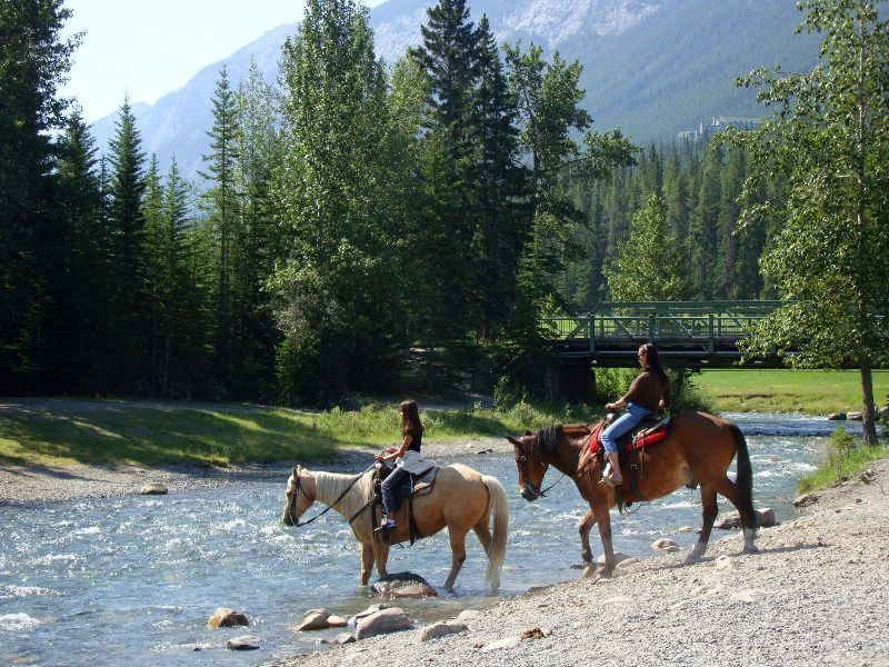 Van Edmonton naar Vancouver: Route vol natuur, cultuur en wilde dieren