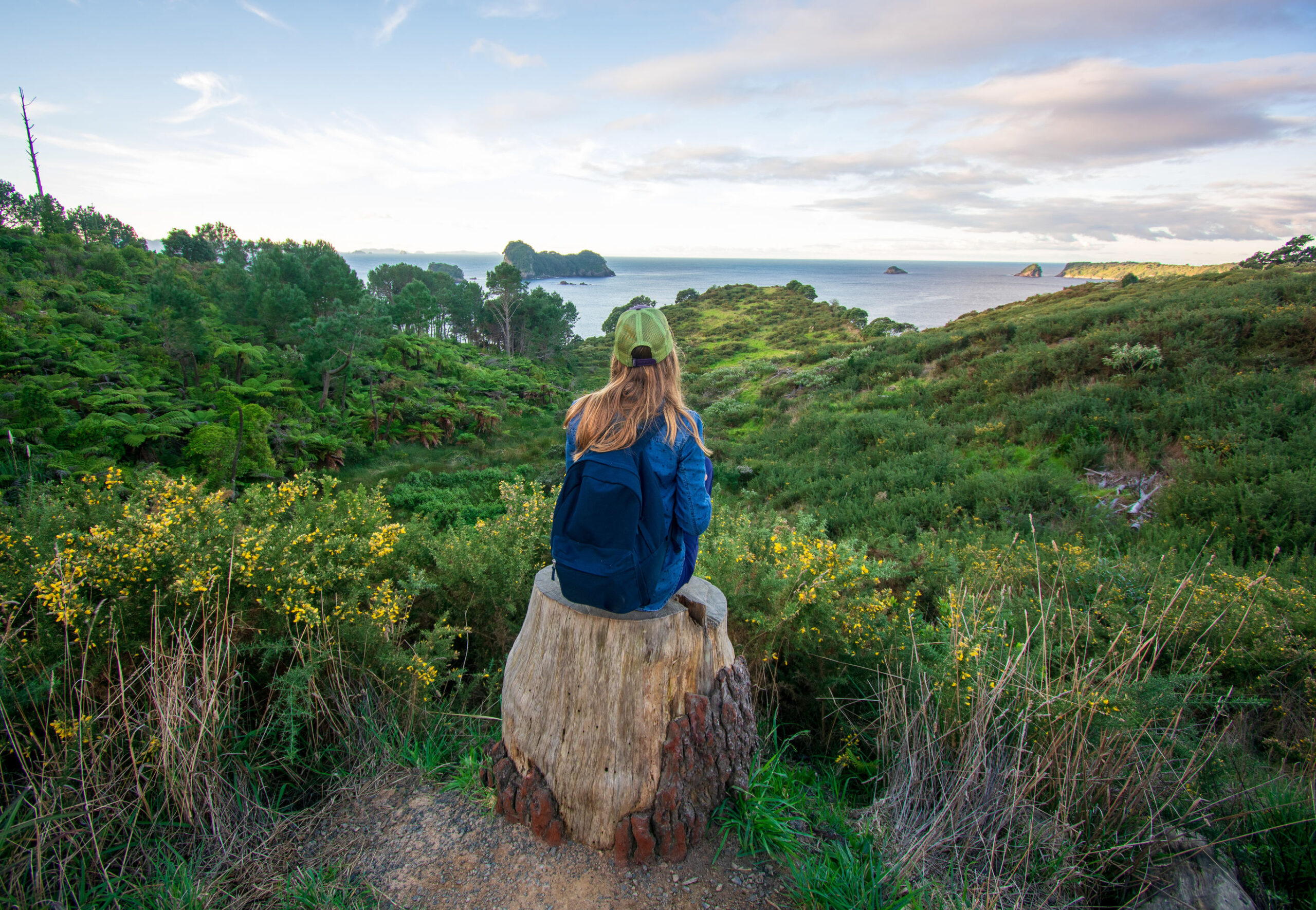 Noordereiland in 3 weken
