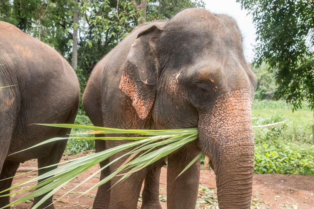 Een avontuurlijke reis