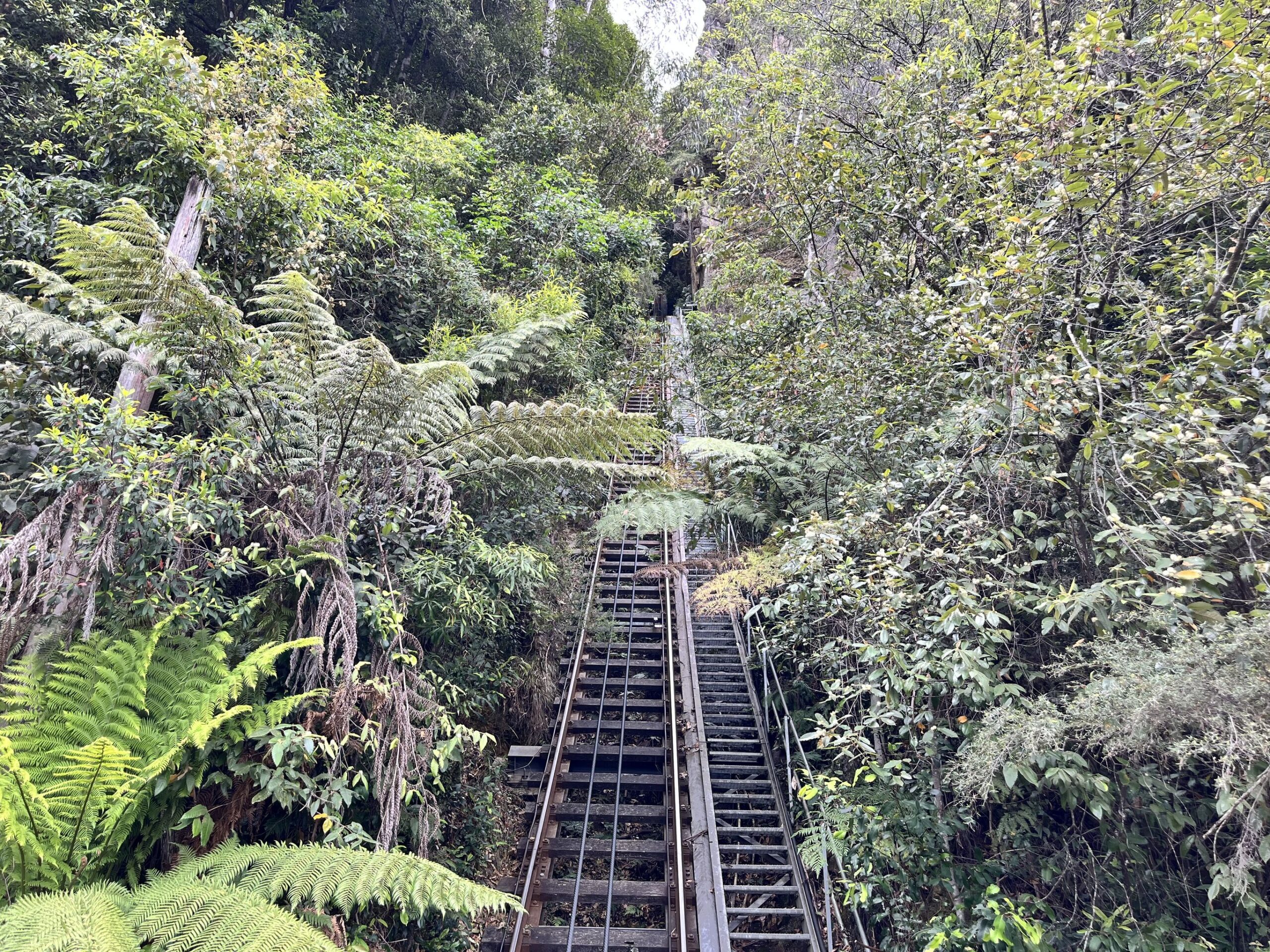 Oostkust Australië in 3 weken