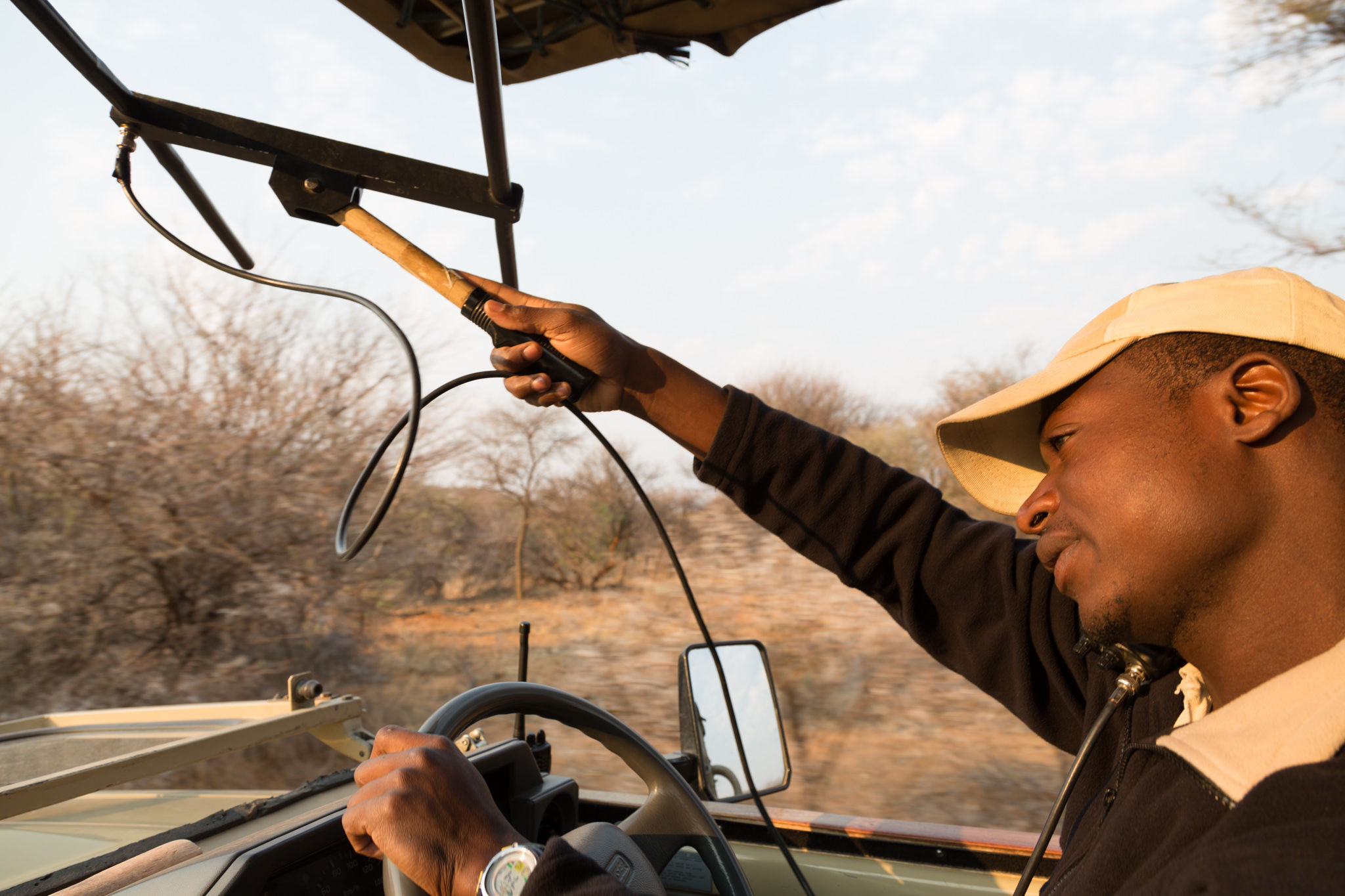 Safari Etosha naar Victoria Falls