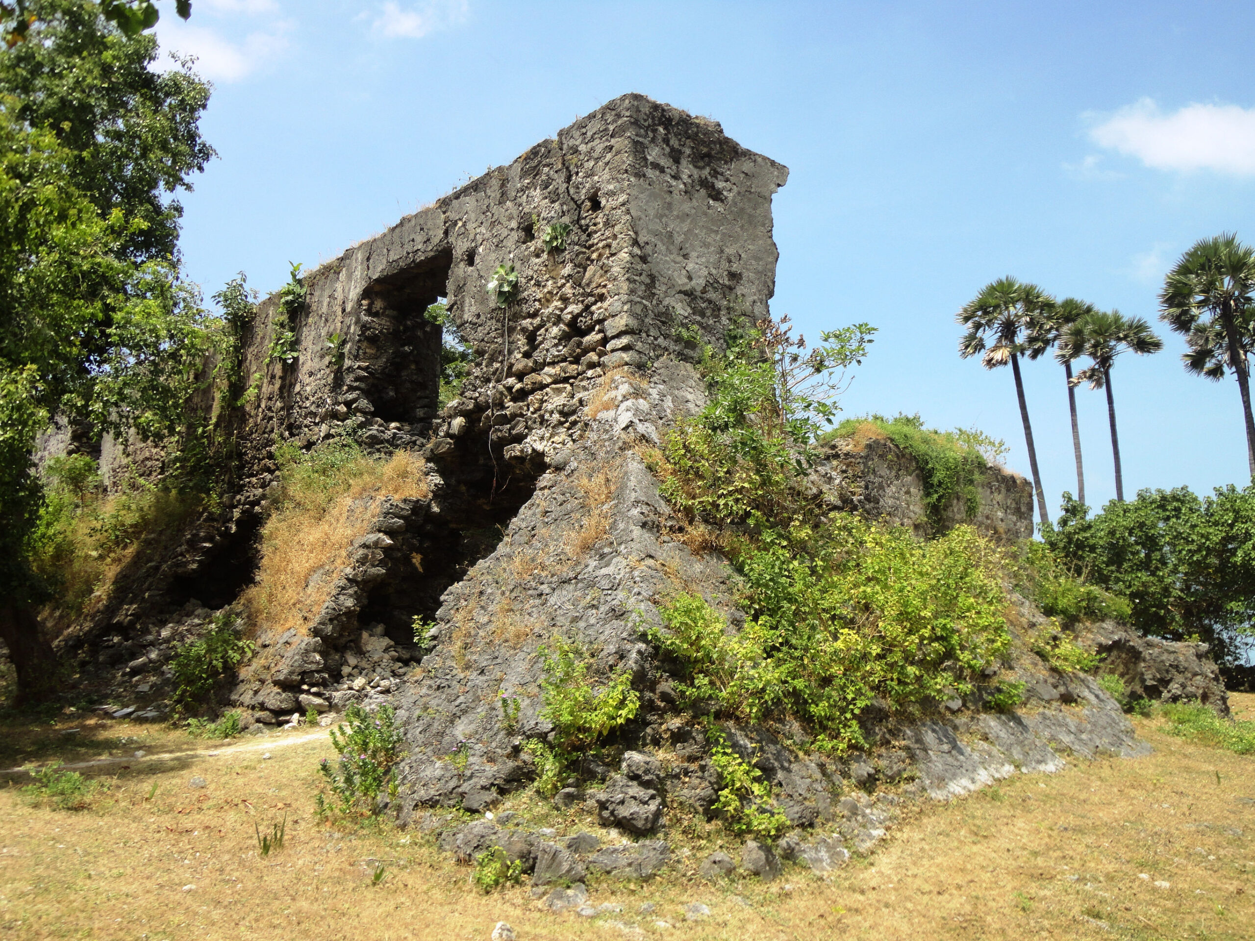 Actief en onbekend Ceylon