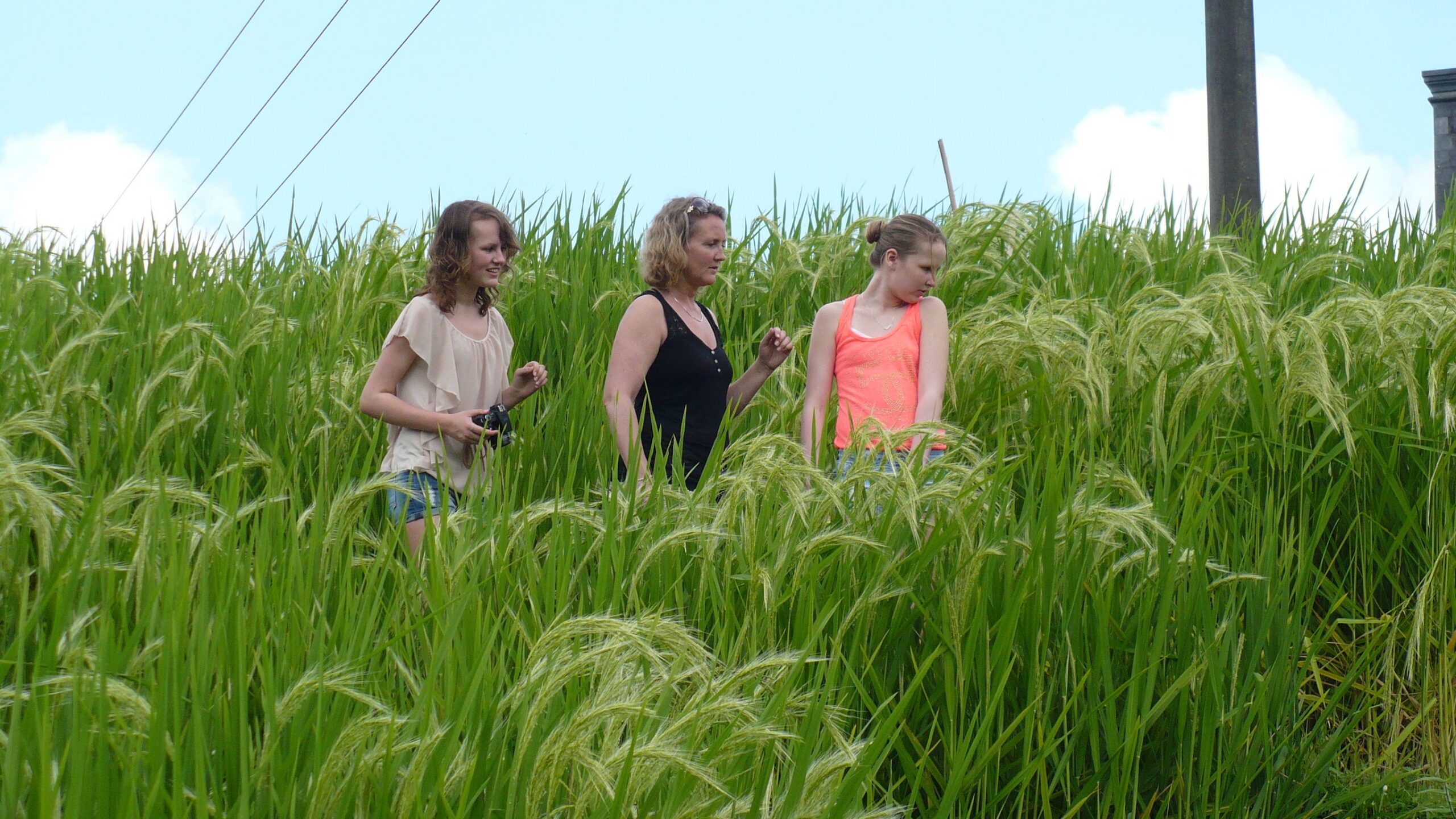 Bali’s binnenland en kleurrijke onderwaterwereld