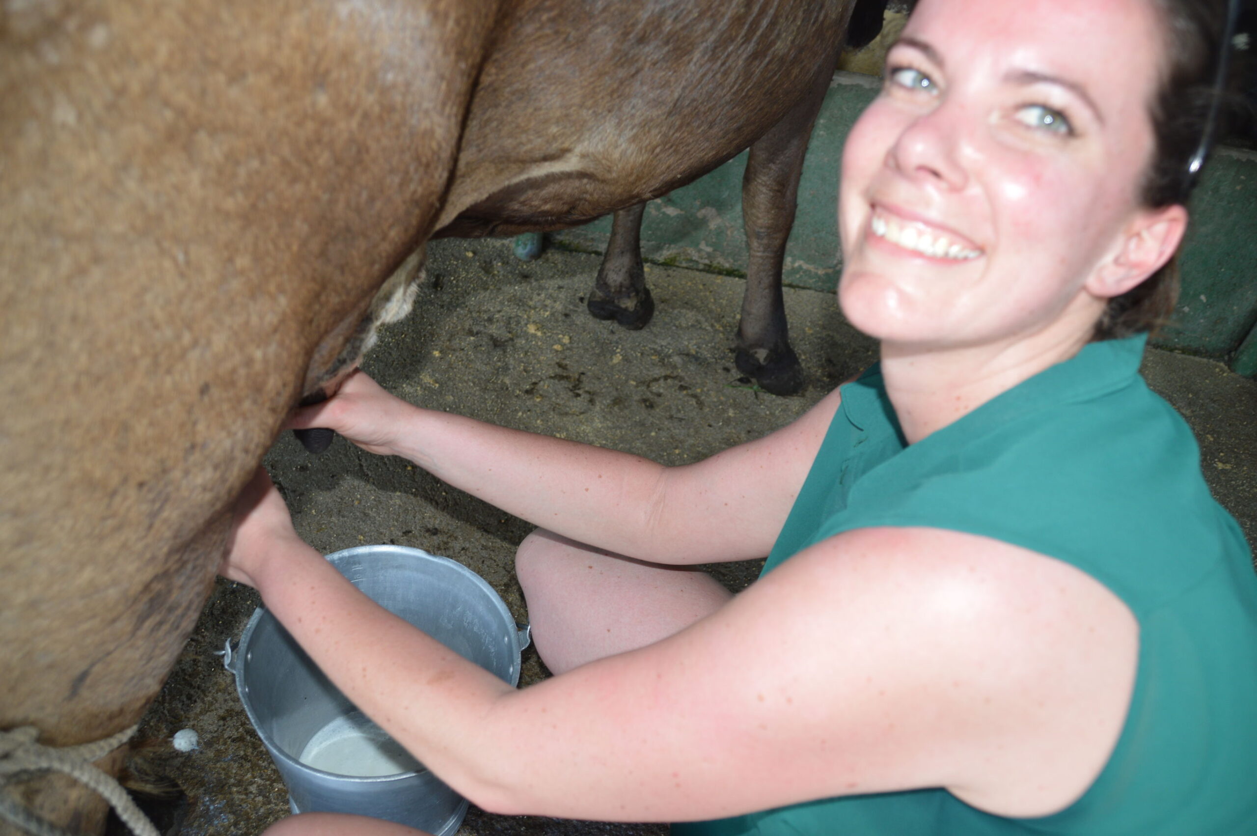 Costa Rica en Panama met de auto