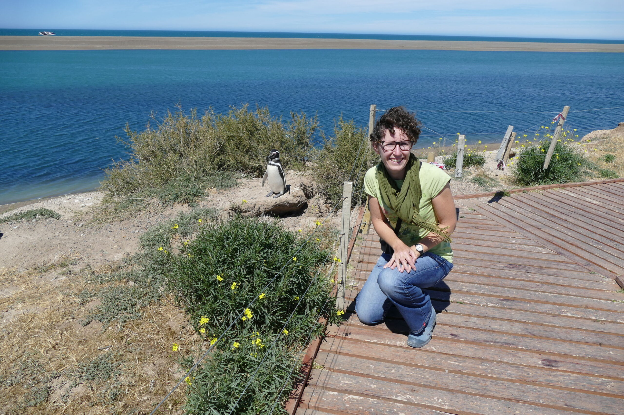 Meren en gletsjers van Patagonië