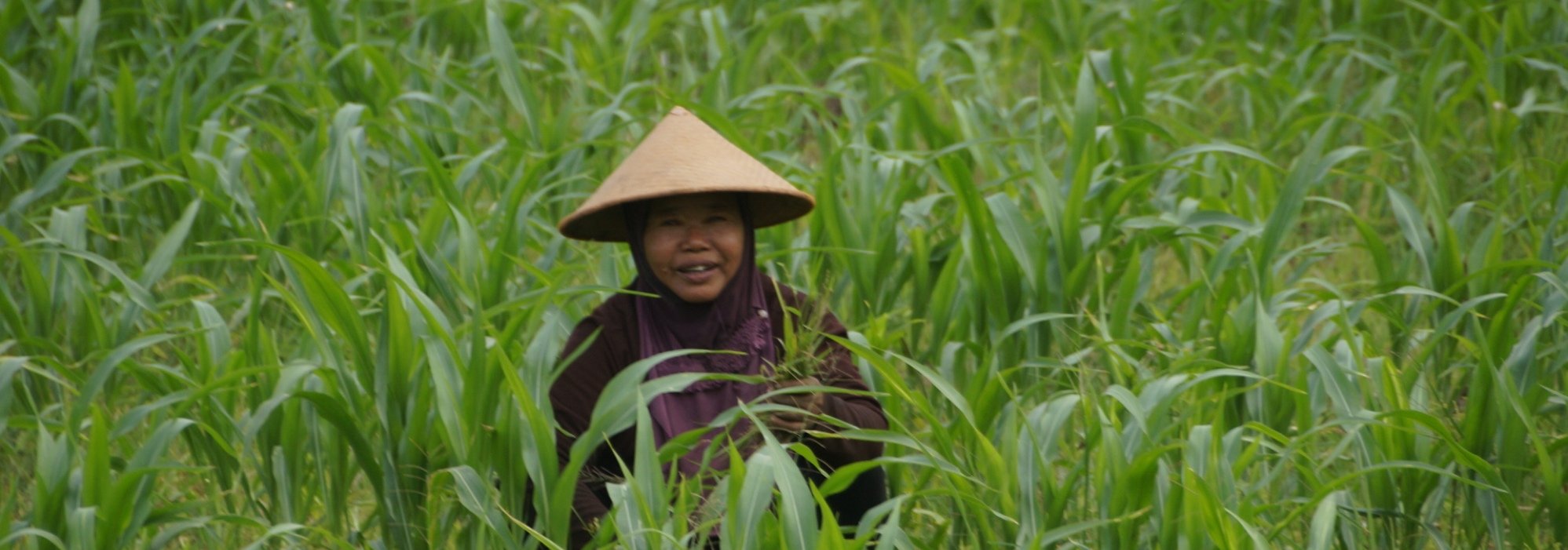 Rondreis 20 dagen Klassiek Java en Bali