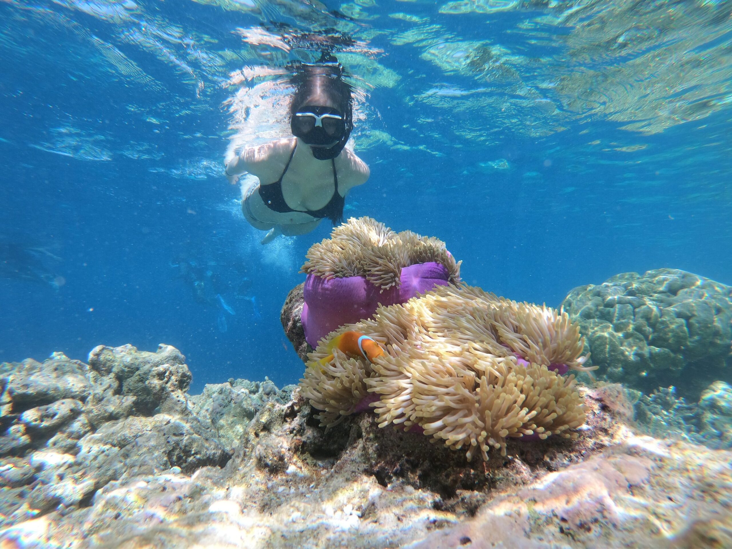 Rondje Sulawesi en Bali