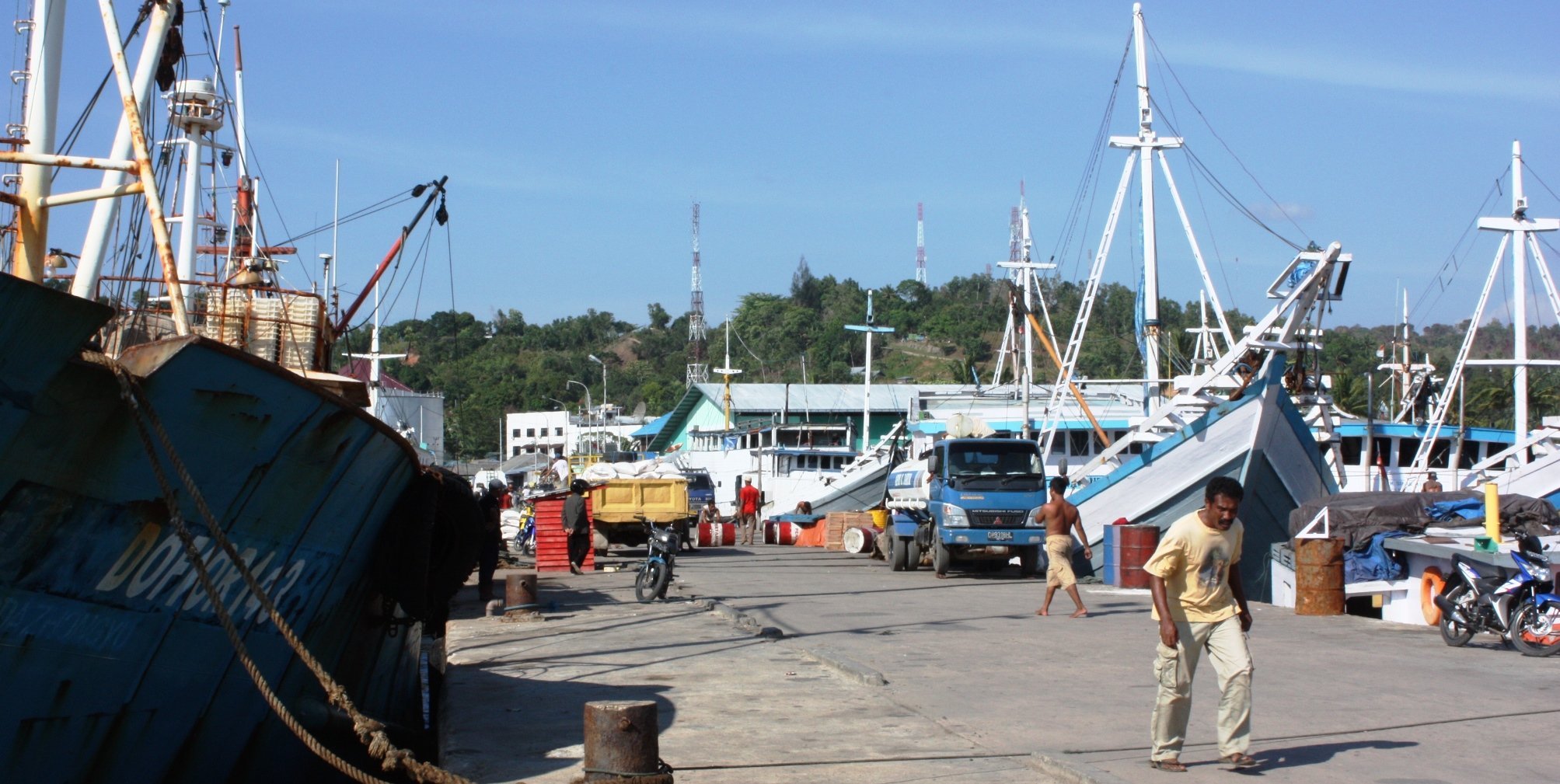 Bouwsteen 8 dagen duiken Raja Ampat Biodiversity