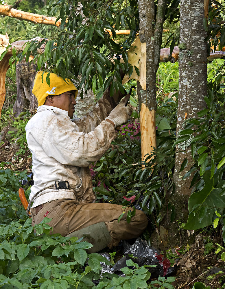 Groen en ongerept Zuid-Sumatra