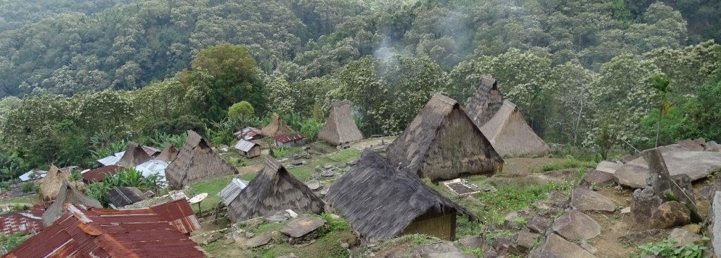 Rondreis 16 dagen avontuur & cultuur: Komodo en Flores