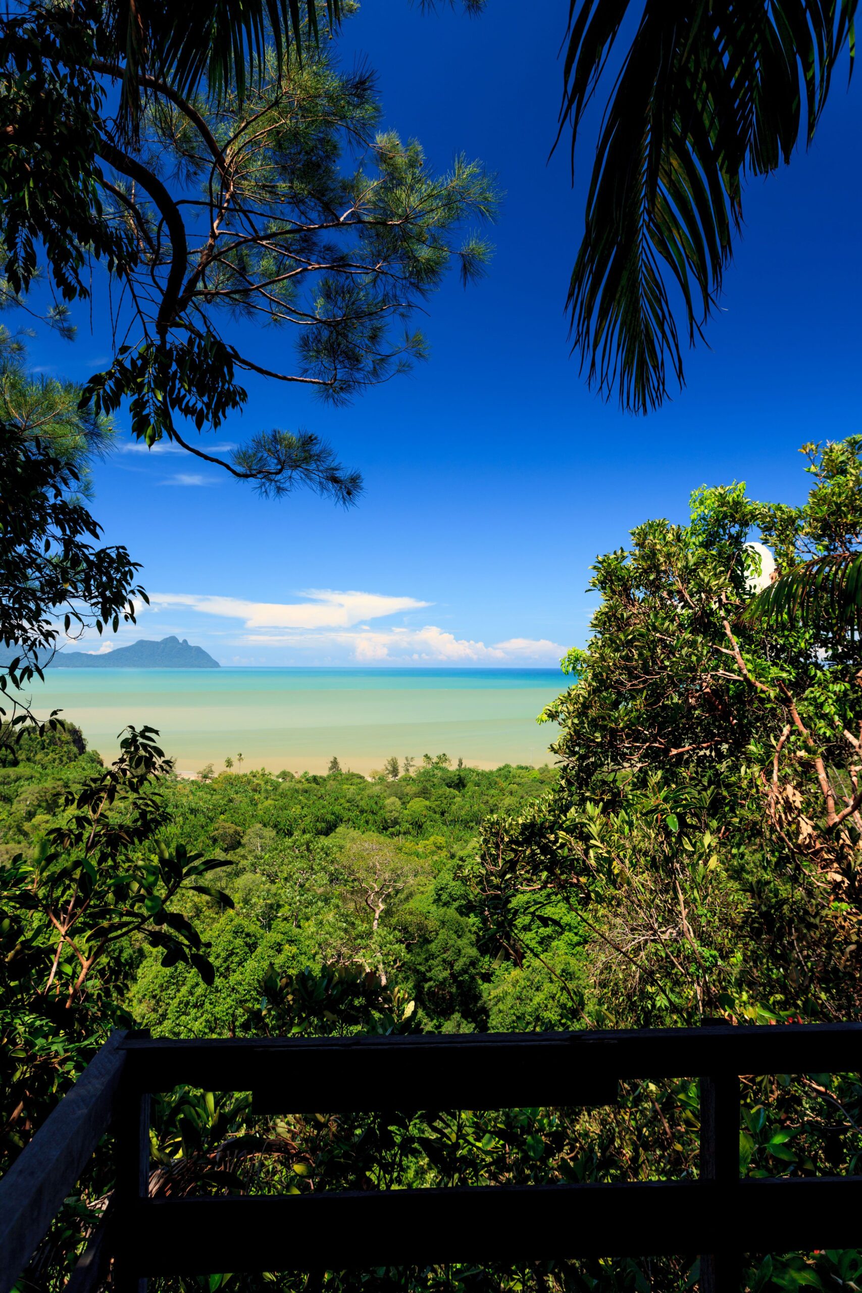 Onbekend Borneo