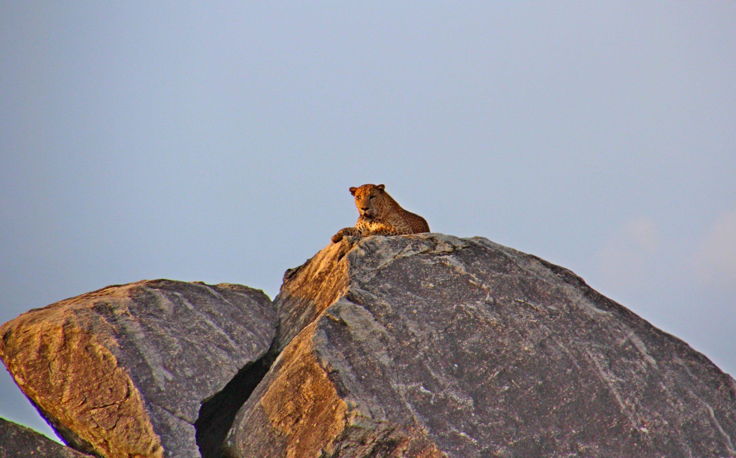 Ultiem Sri Lanka met kids