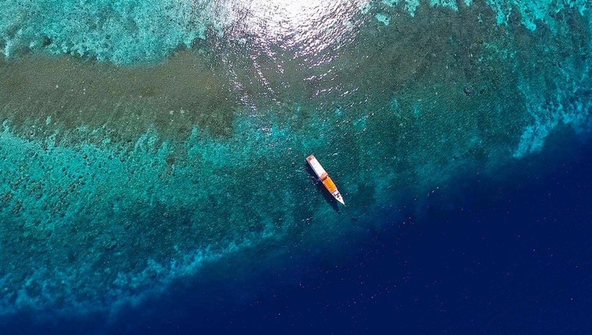 Rondreis 14 dagen duiken Sumbawa: walvishaaien, manta en veel meer