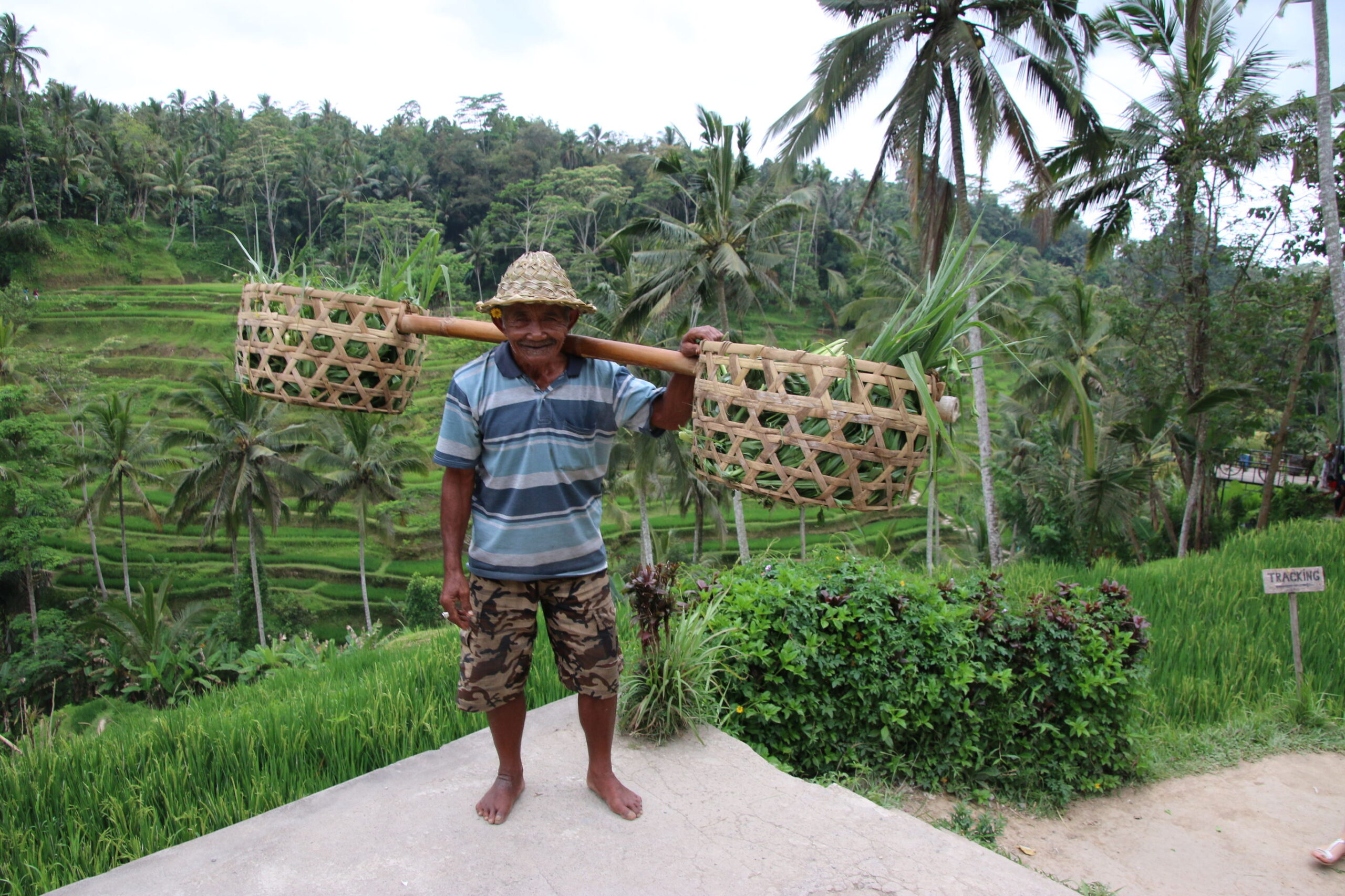 Bali’s binnenland en kleurrijke onderwaterwereld