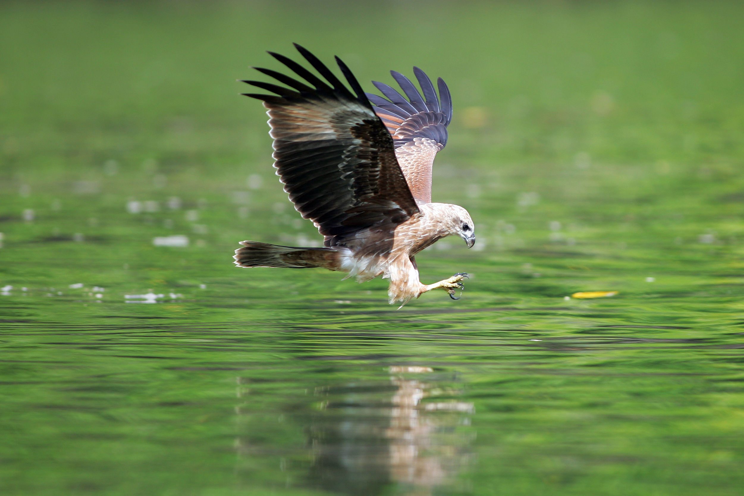 Hoogtepunten van West-Maleisië