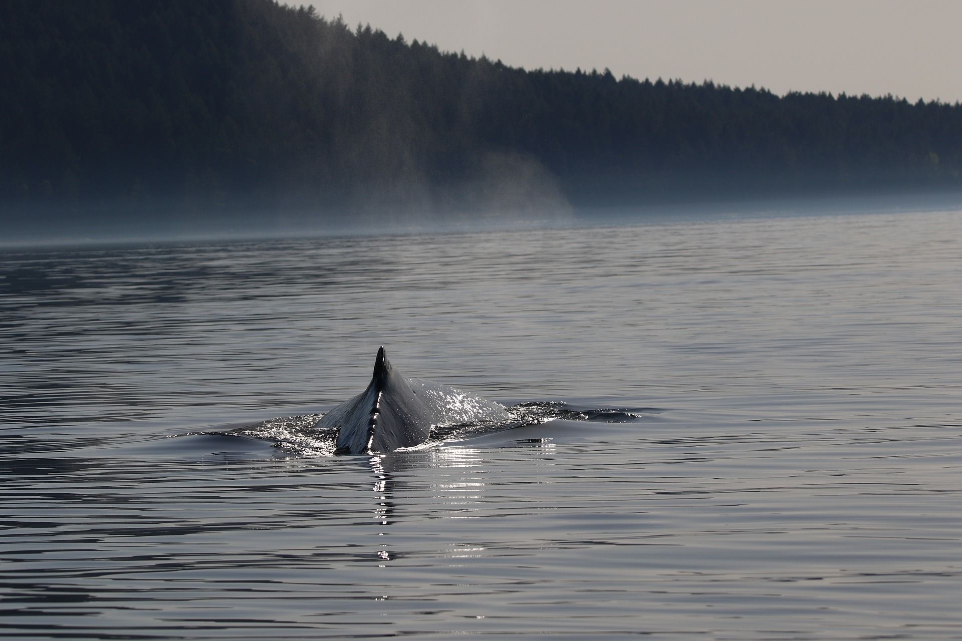 Vancouver & the Sunshine Coast