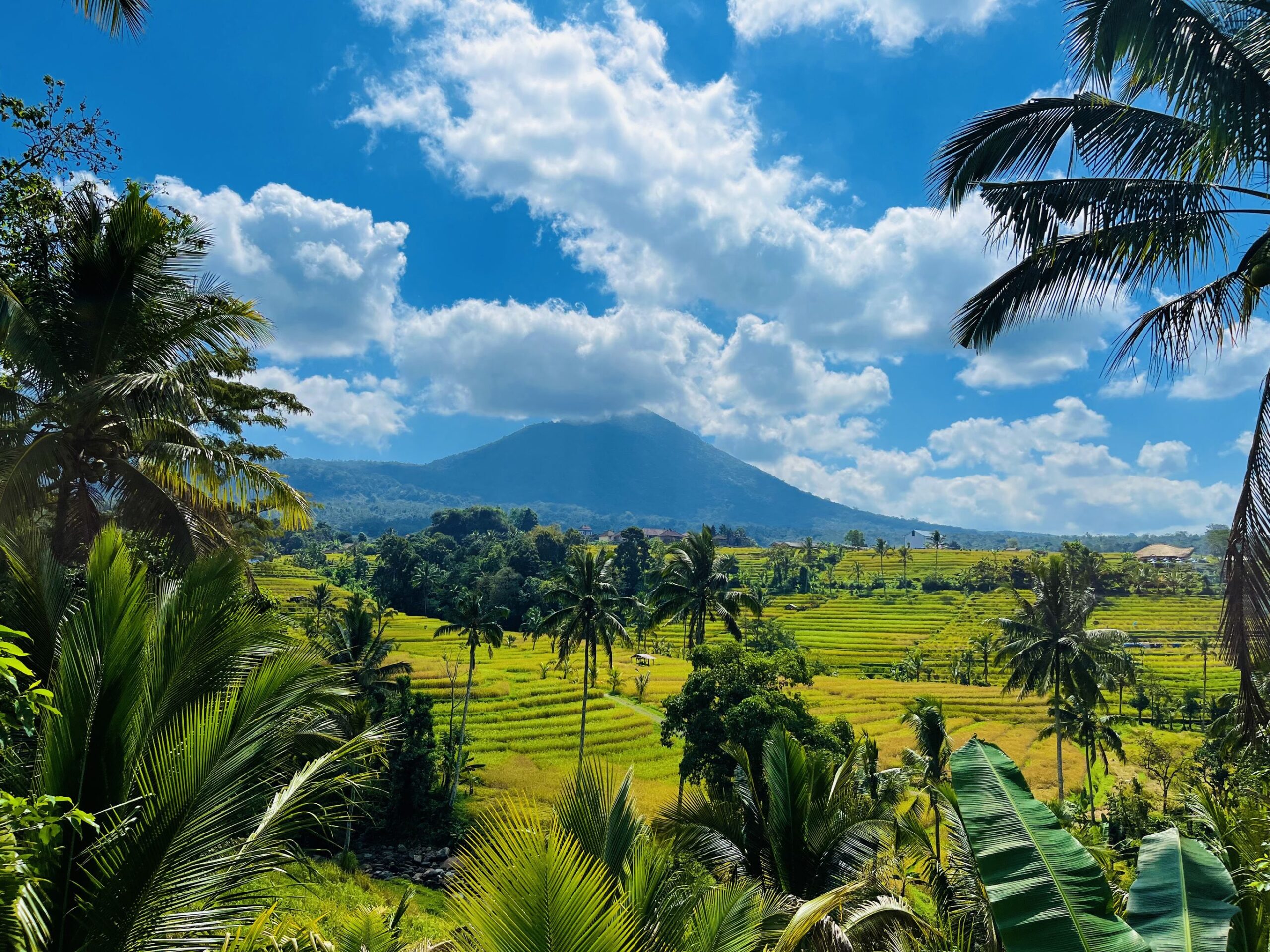 Bali’s binnenland en kleurrijke onderwaterwereld