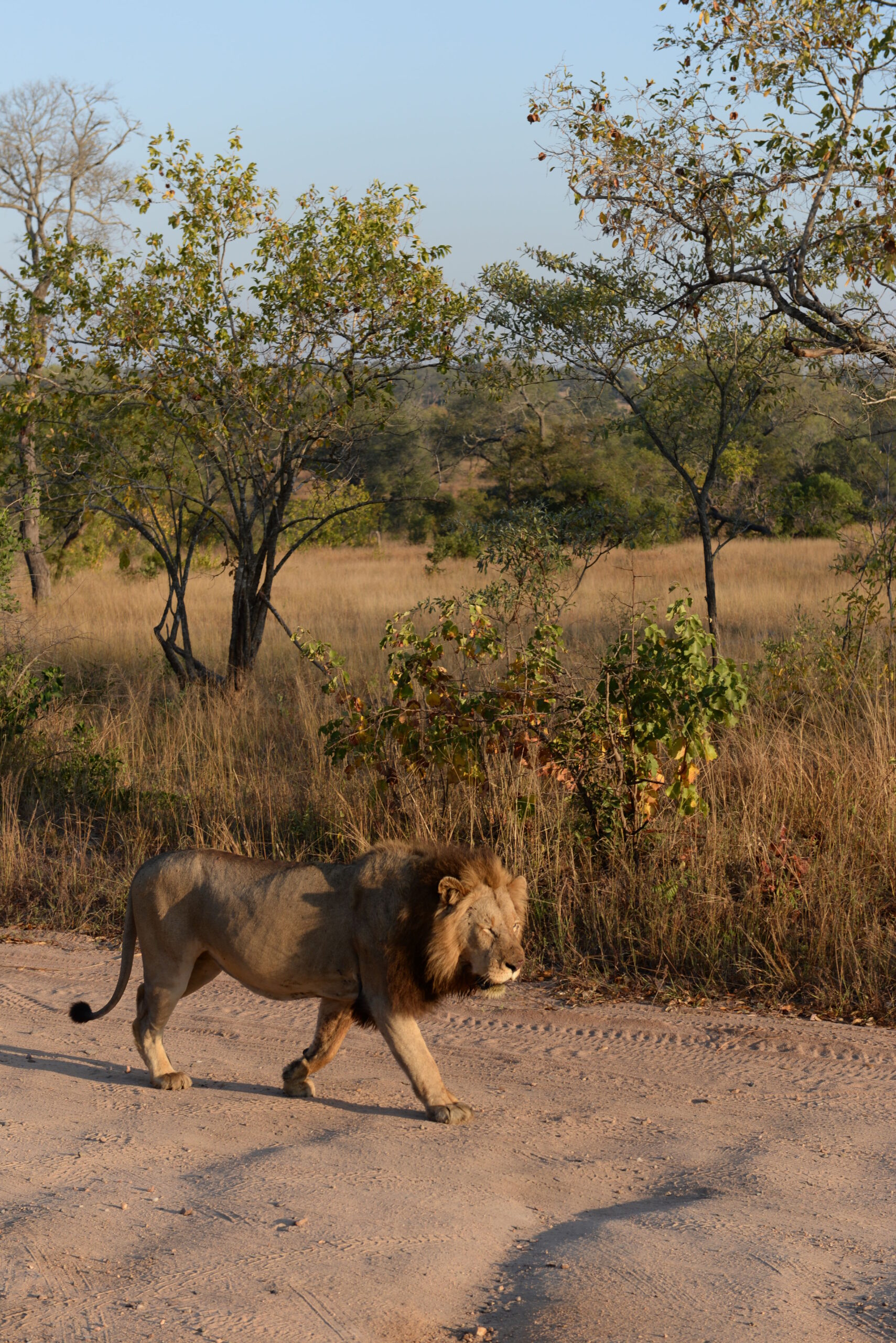 Panoramaroute uitgebreid
