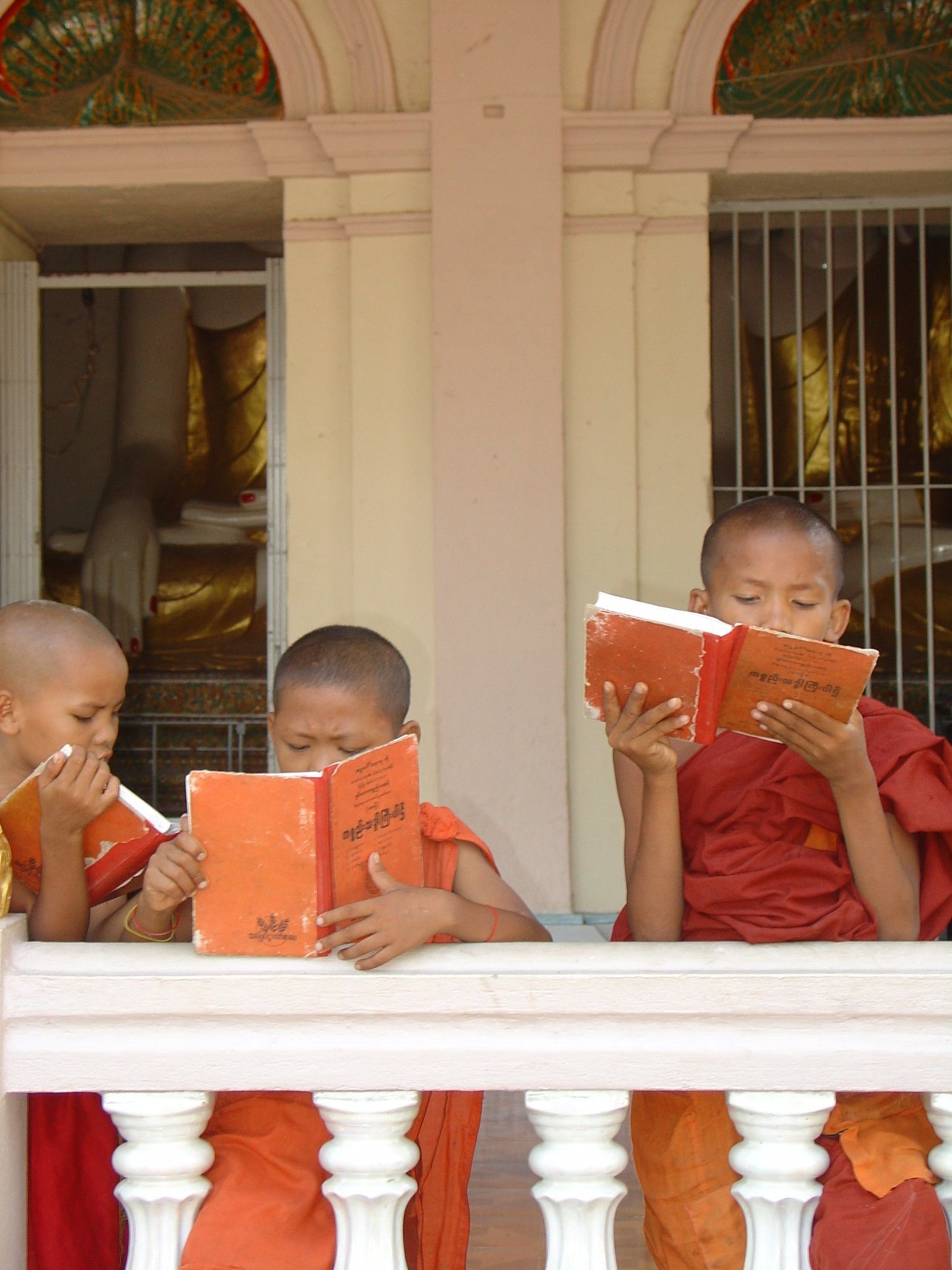 Heel Myanmar overland