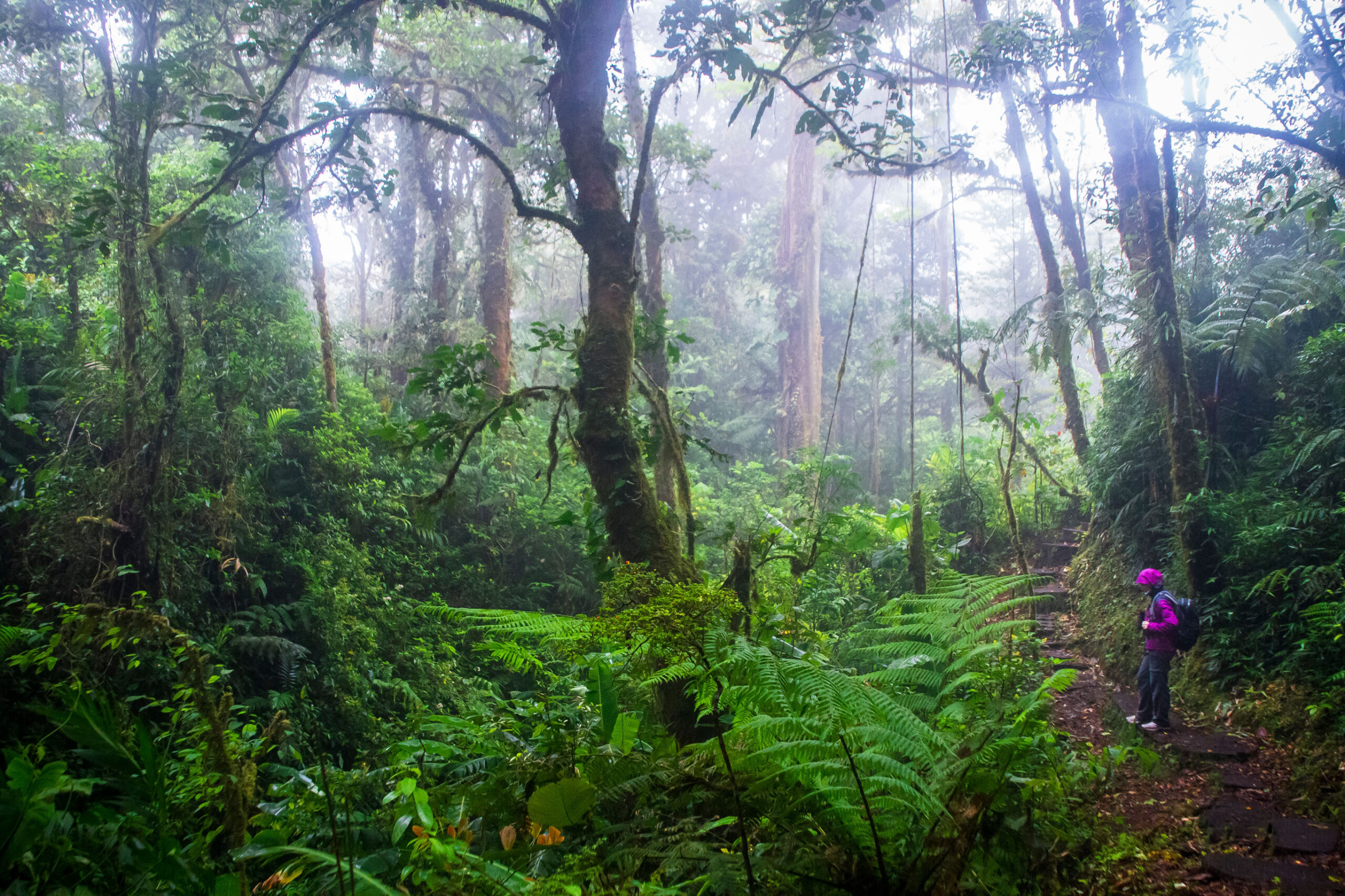 Avontuurlijk en actief Costa Rica