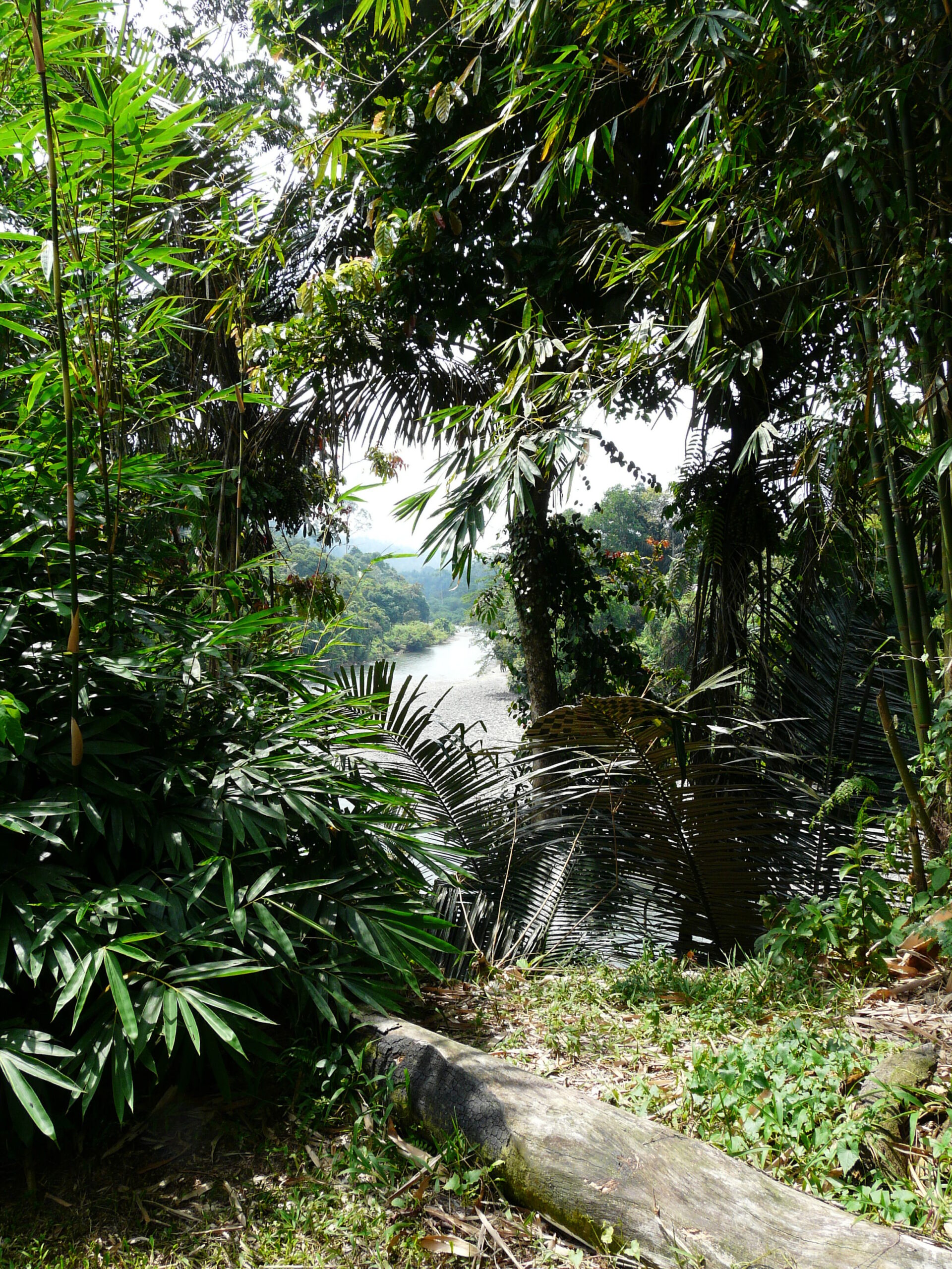Avontuurlijk Sumatra en relaxt Langkawi