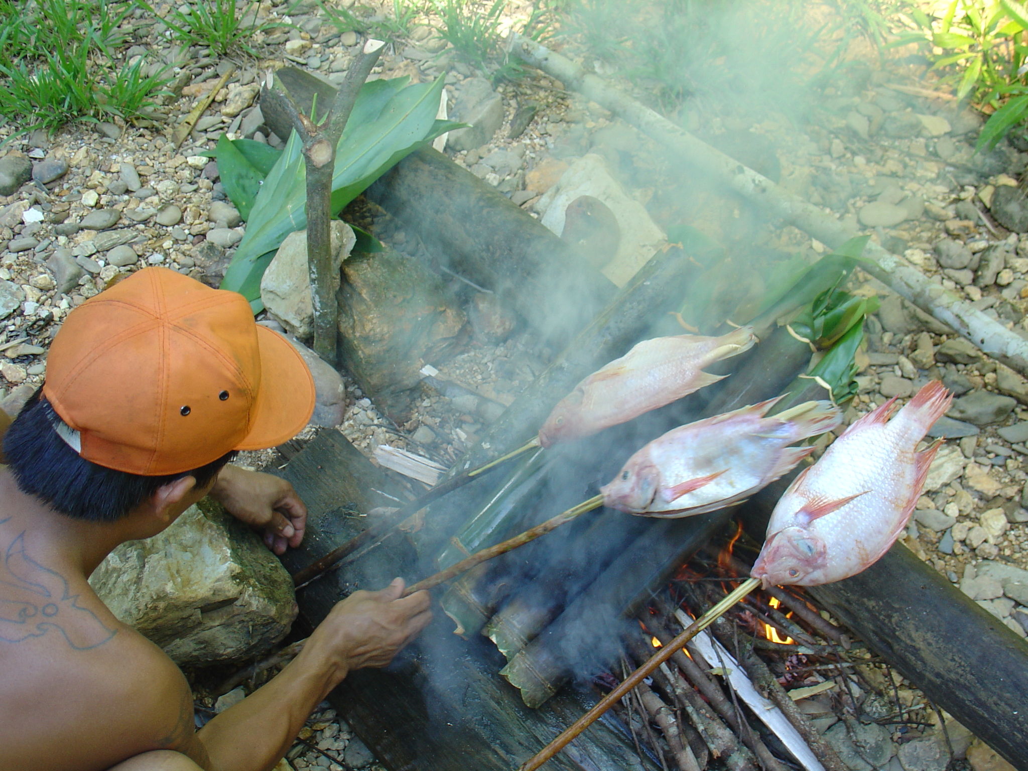 Natuurpracht van Borneo