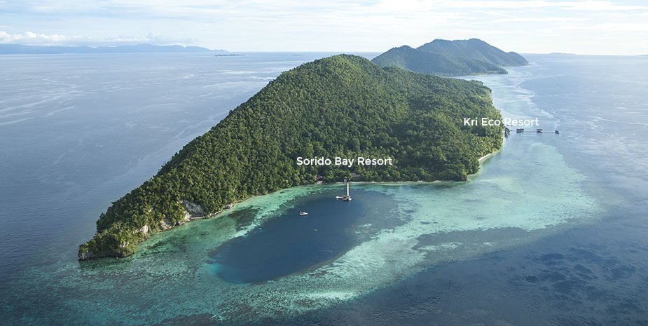 Bouwsteen 8 dagen duiken Sorido Bay – Raja Ampat