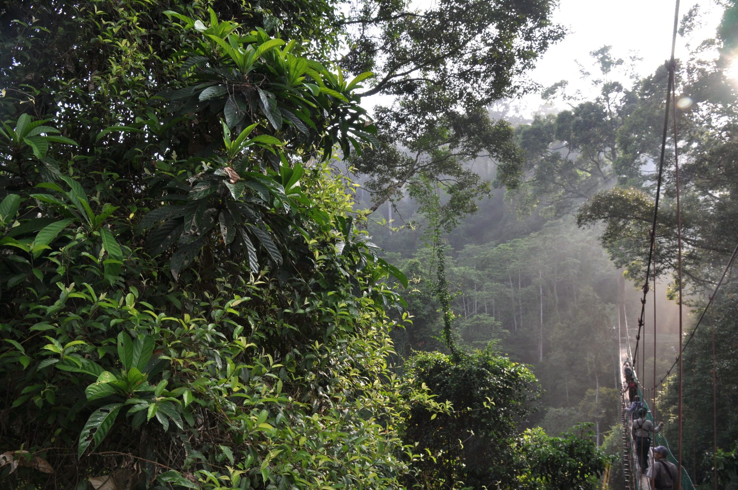 Sabah op zijn mooist