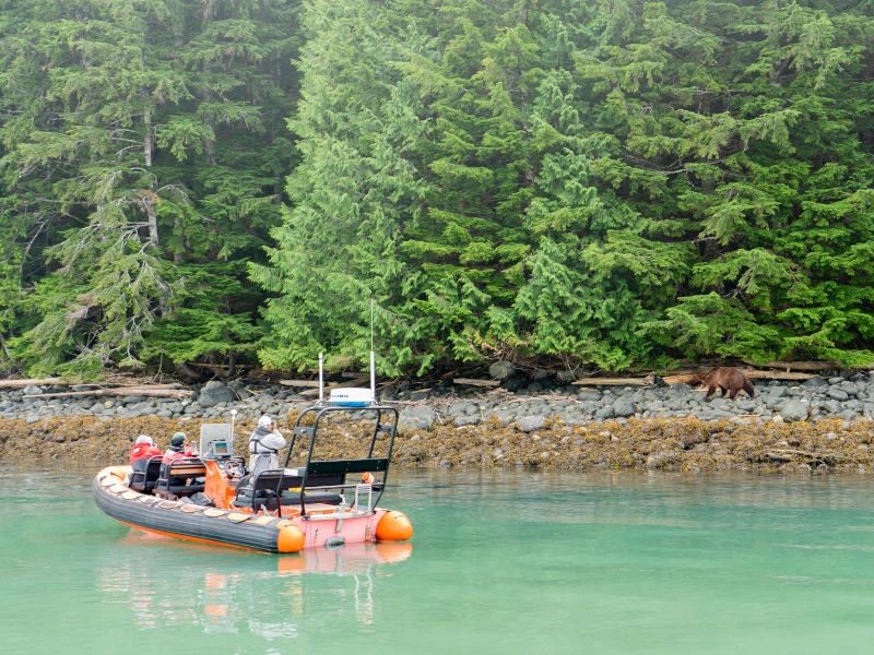 Van Edmonton naar Vancouver: Route vol natuur, cultuur en wilde dieren