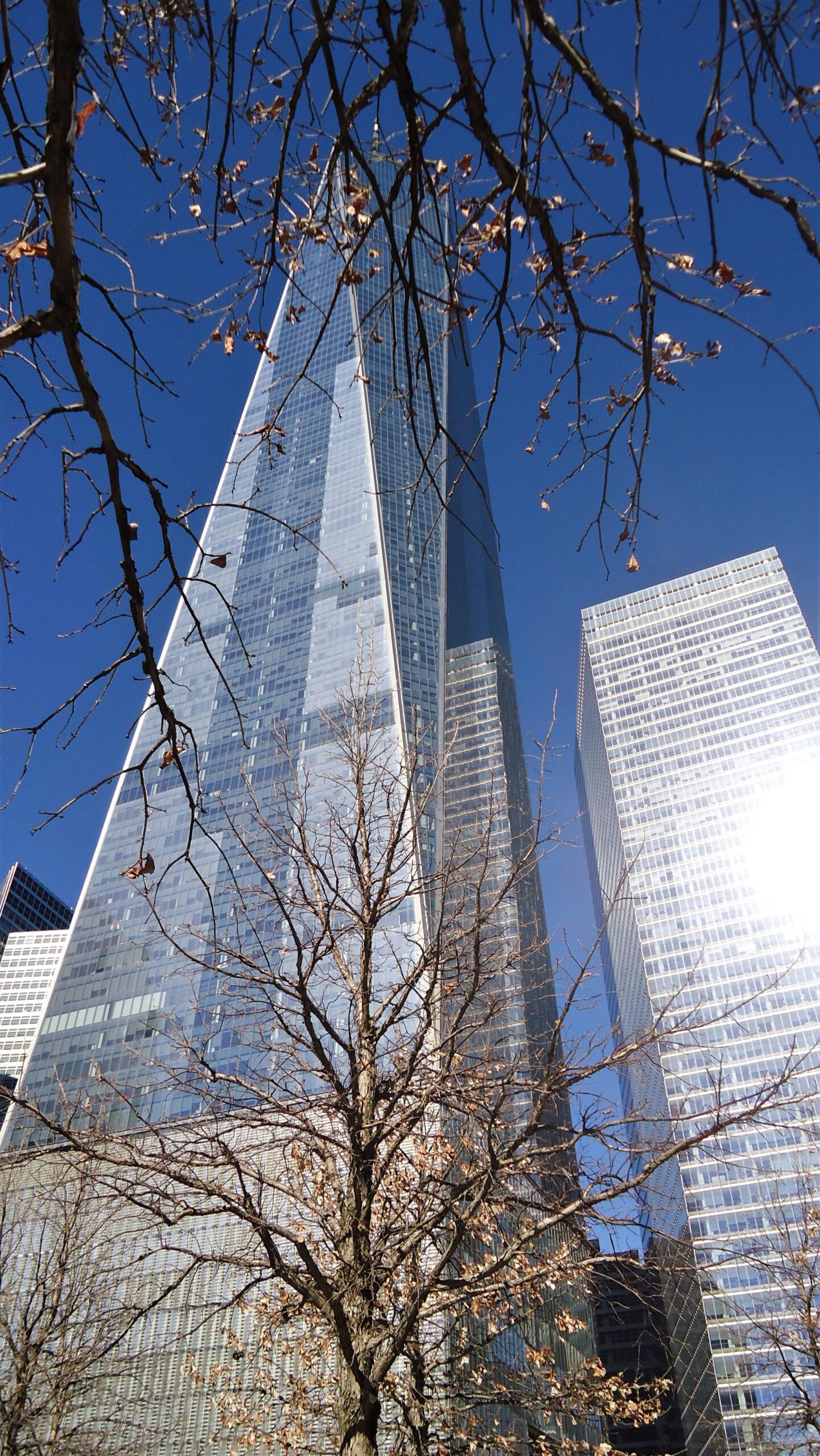 Noordoost-Amerika per trein