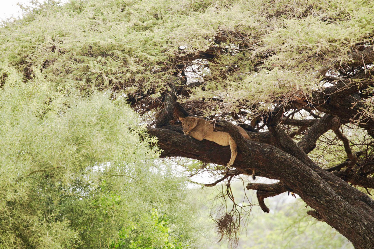 Tanzania met kinderen