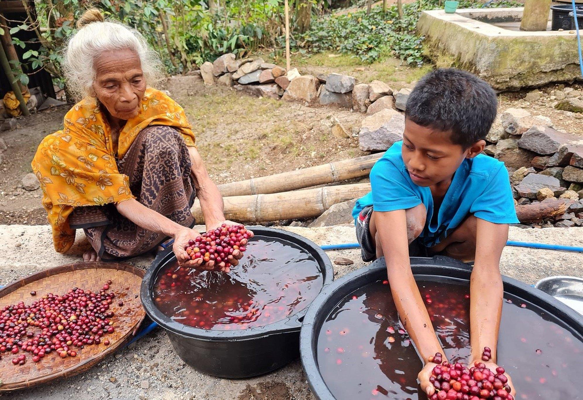 Bouwsteen 10 dagen Flores en Komodo, van  Maumere via Riung naar Labuan Bajo en Komodo