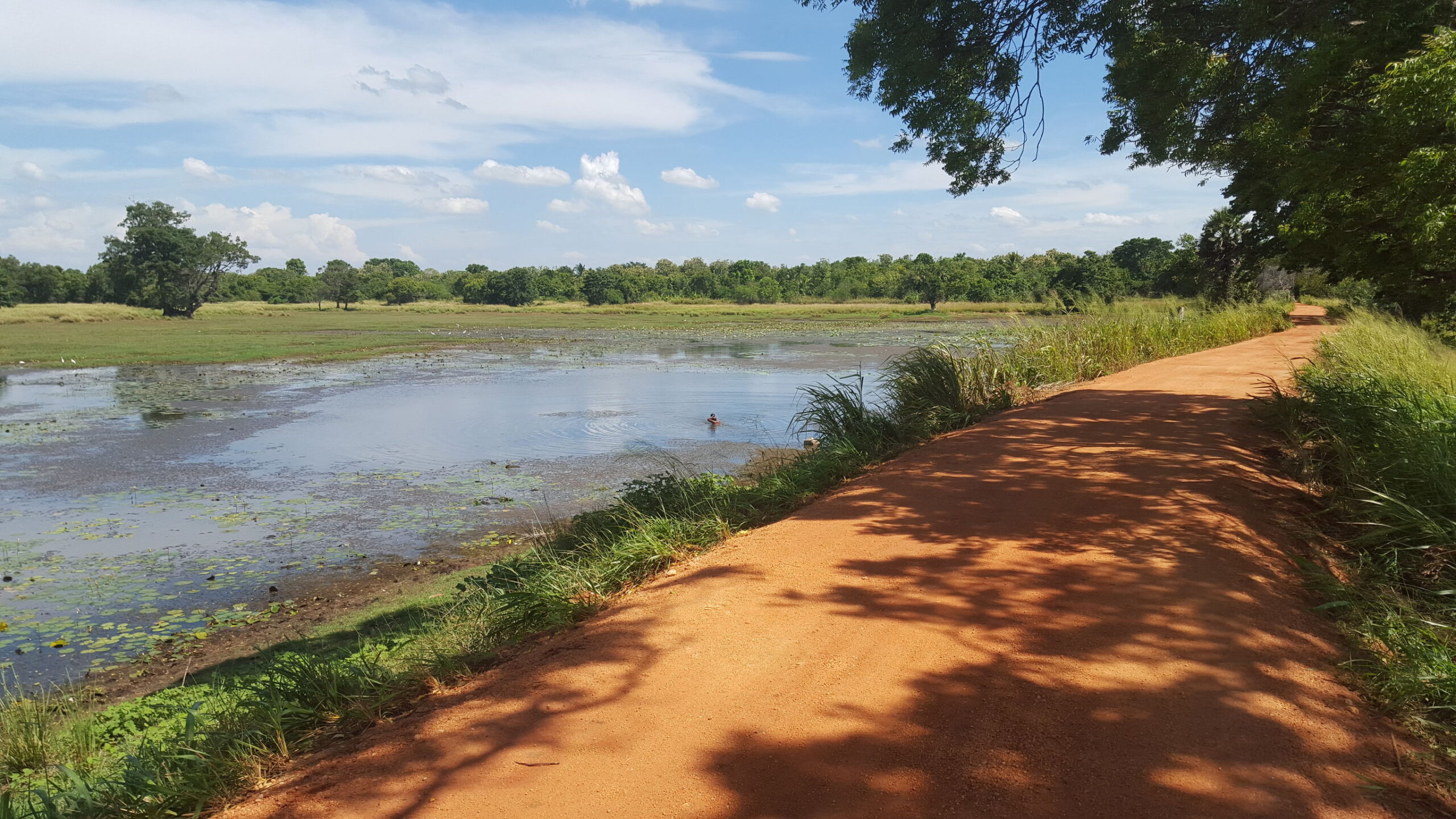 Kerstvakantie Sri Lanka in 2 weken