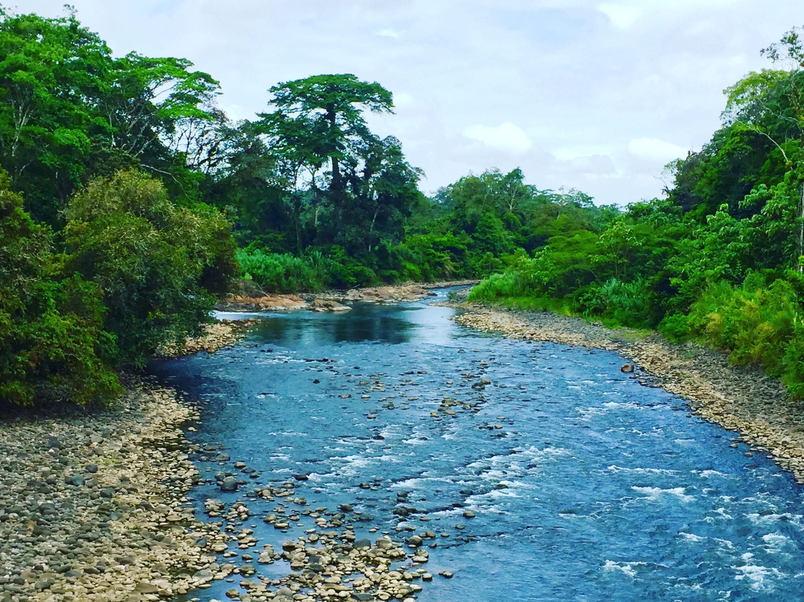 Dierenrijk Costa Rica