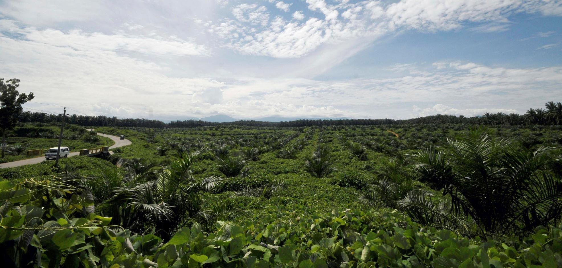 Rondreis 24 dagen avontuurlijk en cultureel Sumatra, Java en Bali
