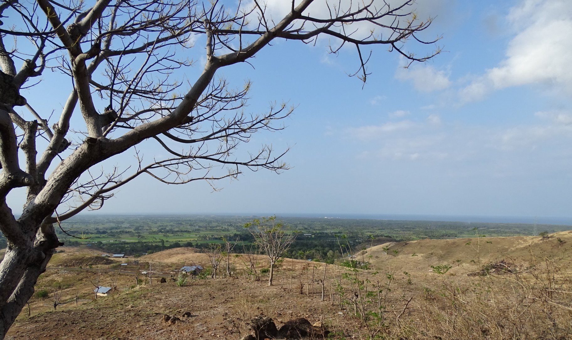 Rondreis 16 dagen avontuur & cultuur: Komodo en Flores