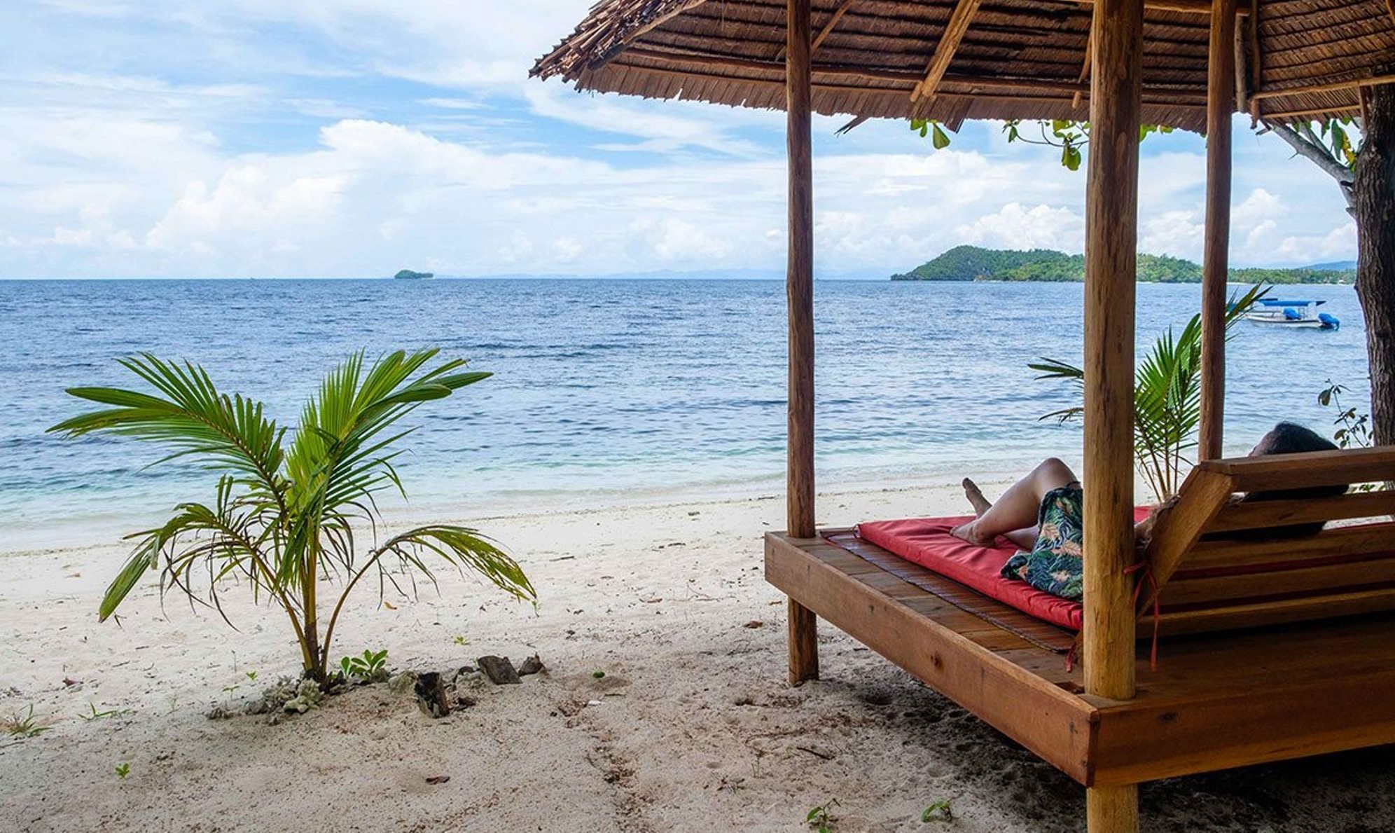 Bouwsteen 8 dagen duiken Raja Ampat Biodiversity