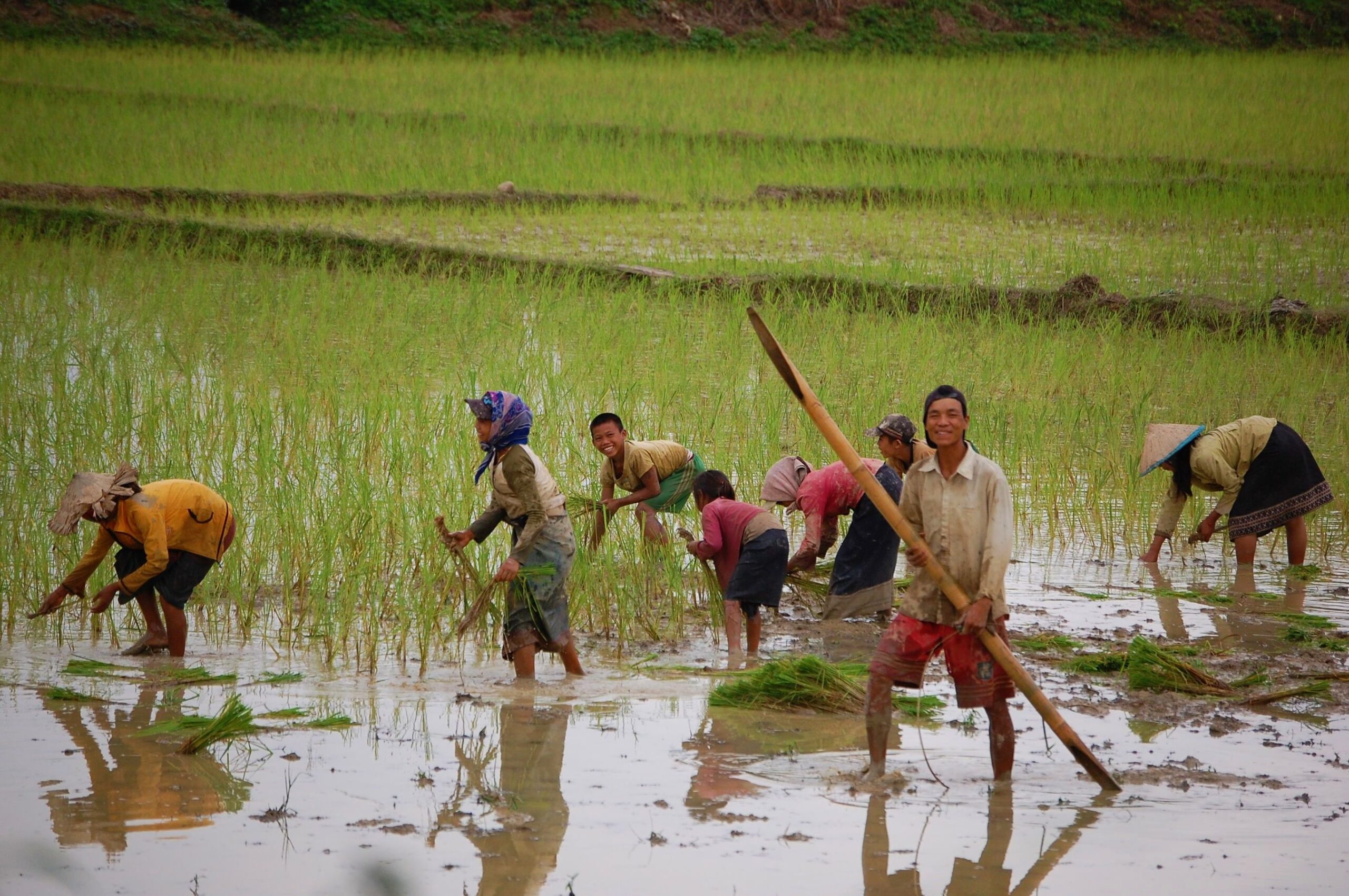 Boeiend Vietnam en Laos