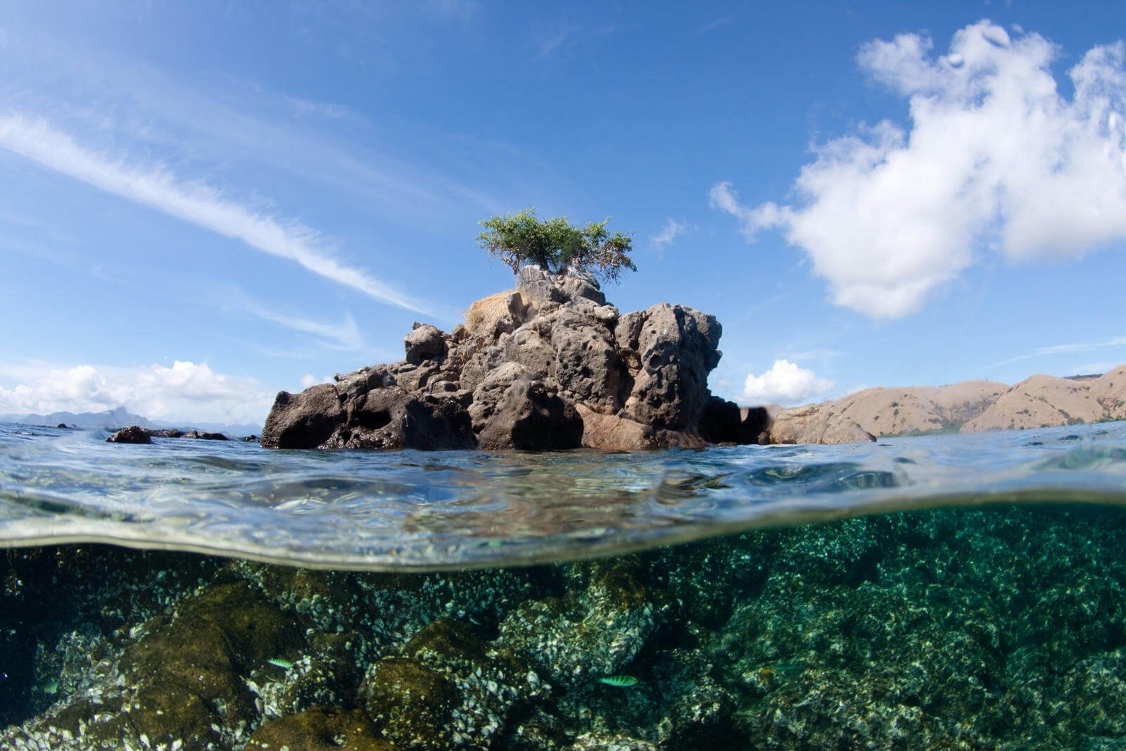 Bouwsteen 7 dagen duiken Komodo resort & Diving club