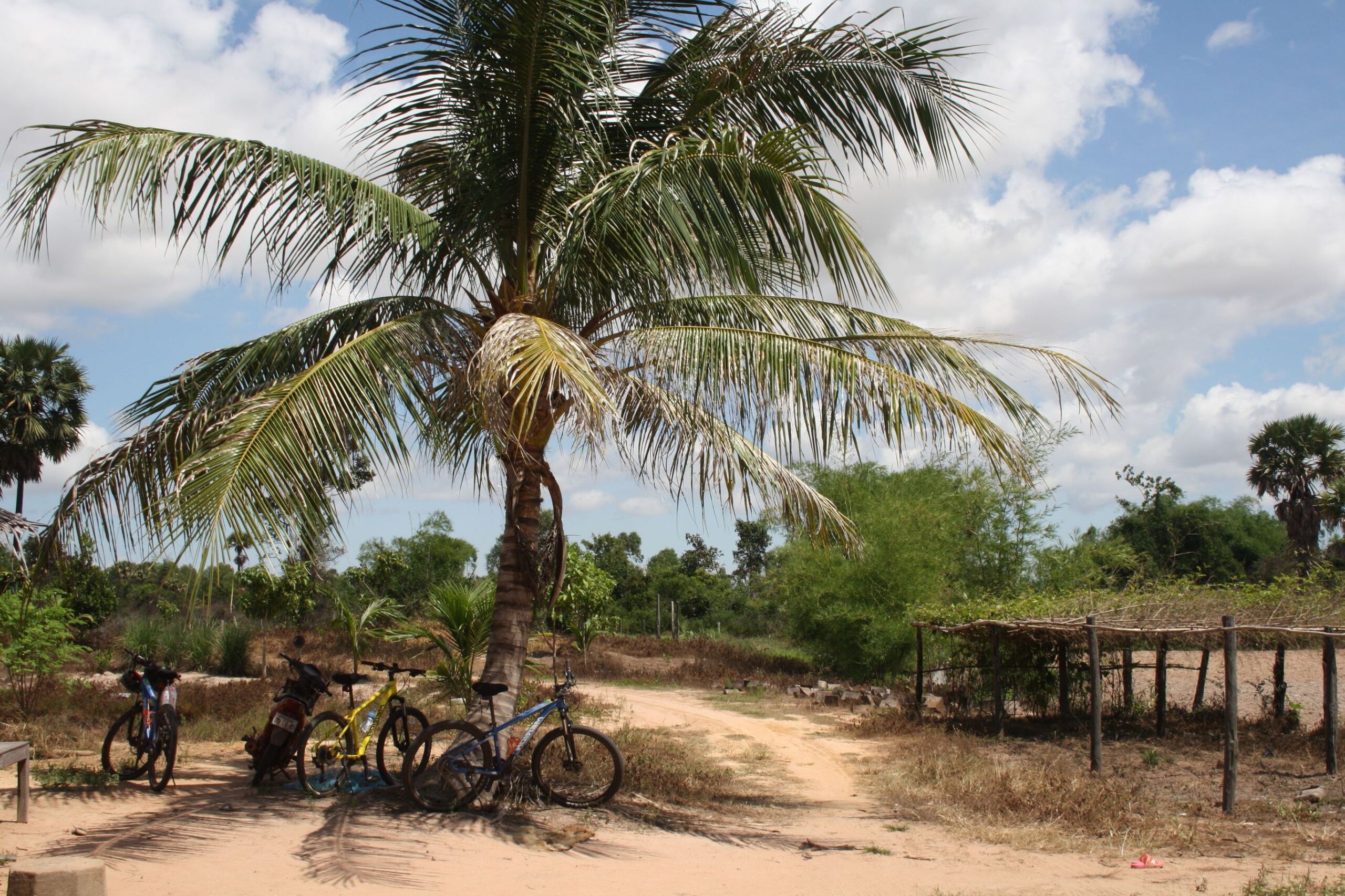 Cambodja Actief