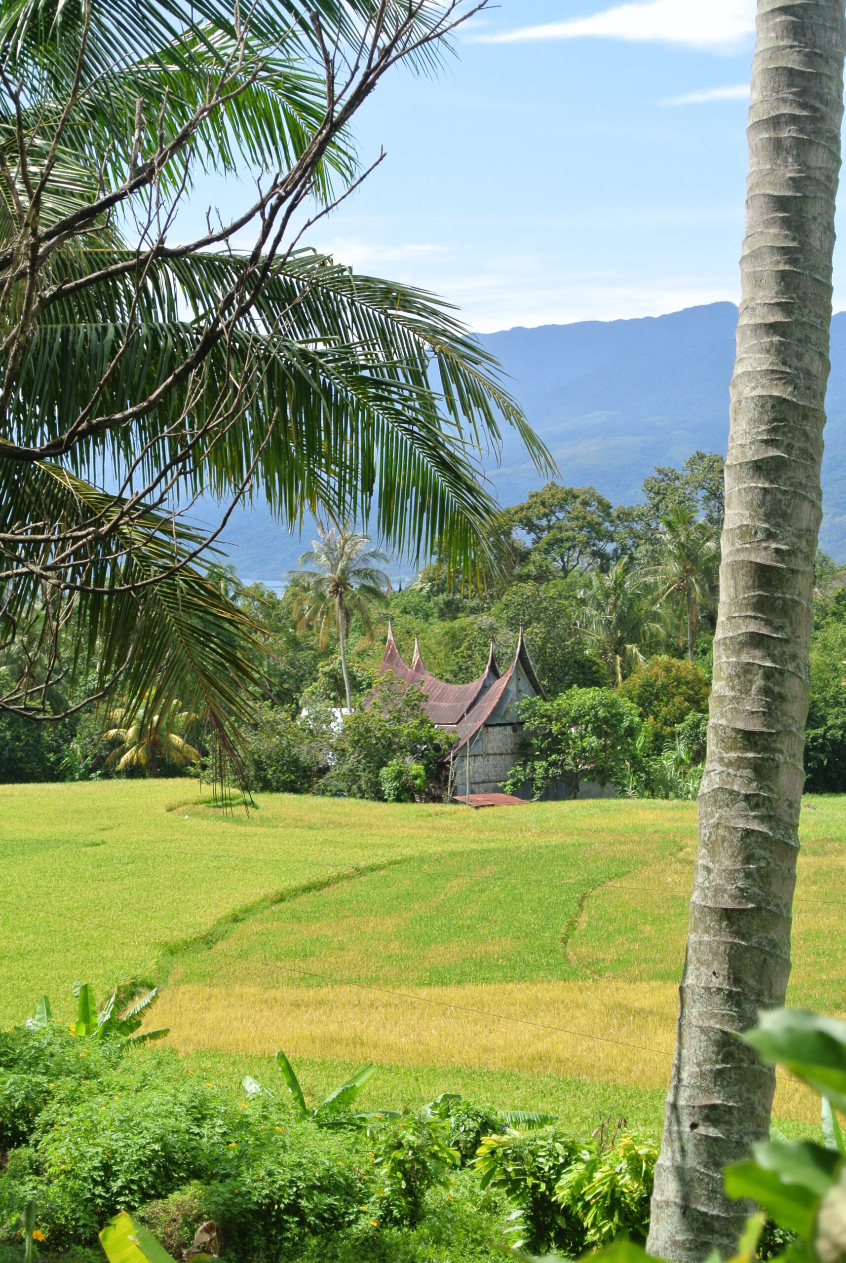 Groen en ongerept Zuid-Sumatra