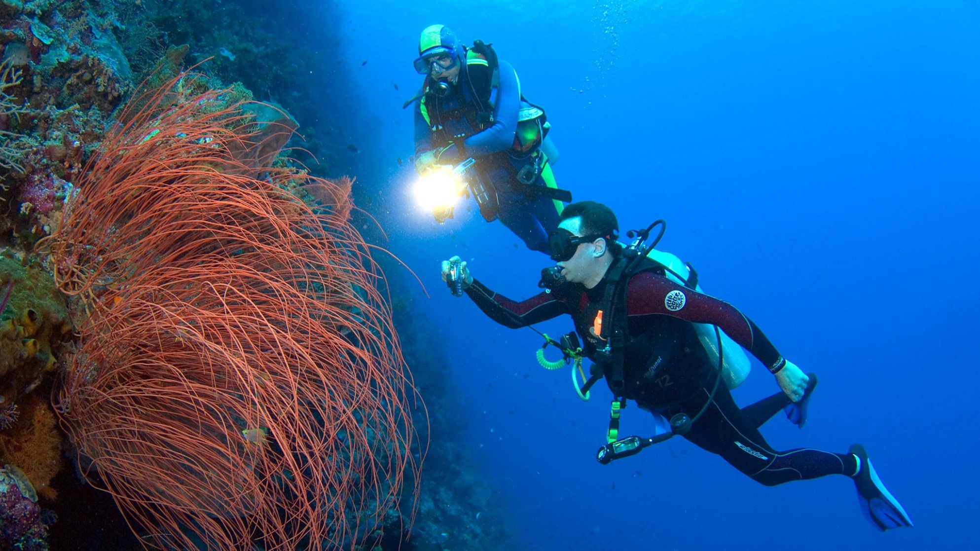 Bouwsteen 8 dagen duiken luxe Wakatobi Dive Resort