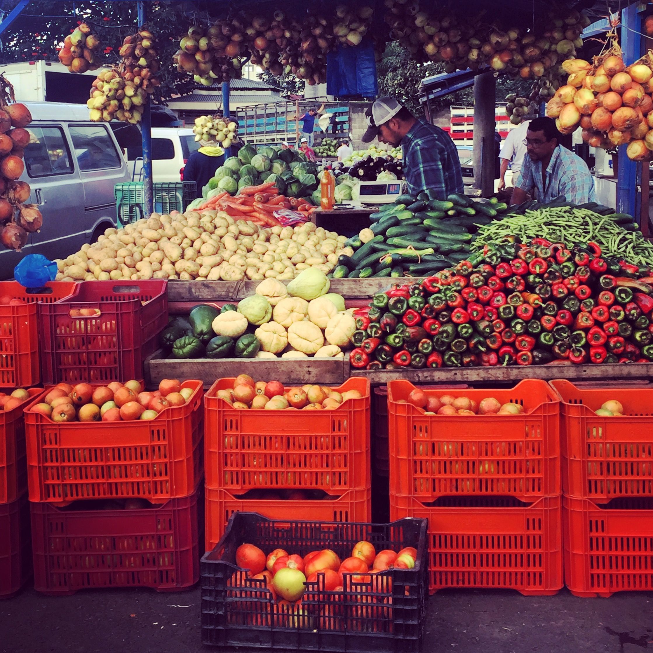 Costa Rica en Panama met de auto