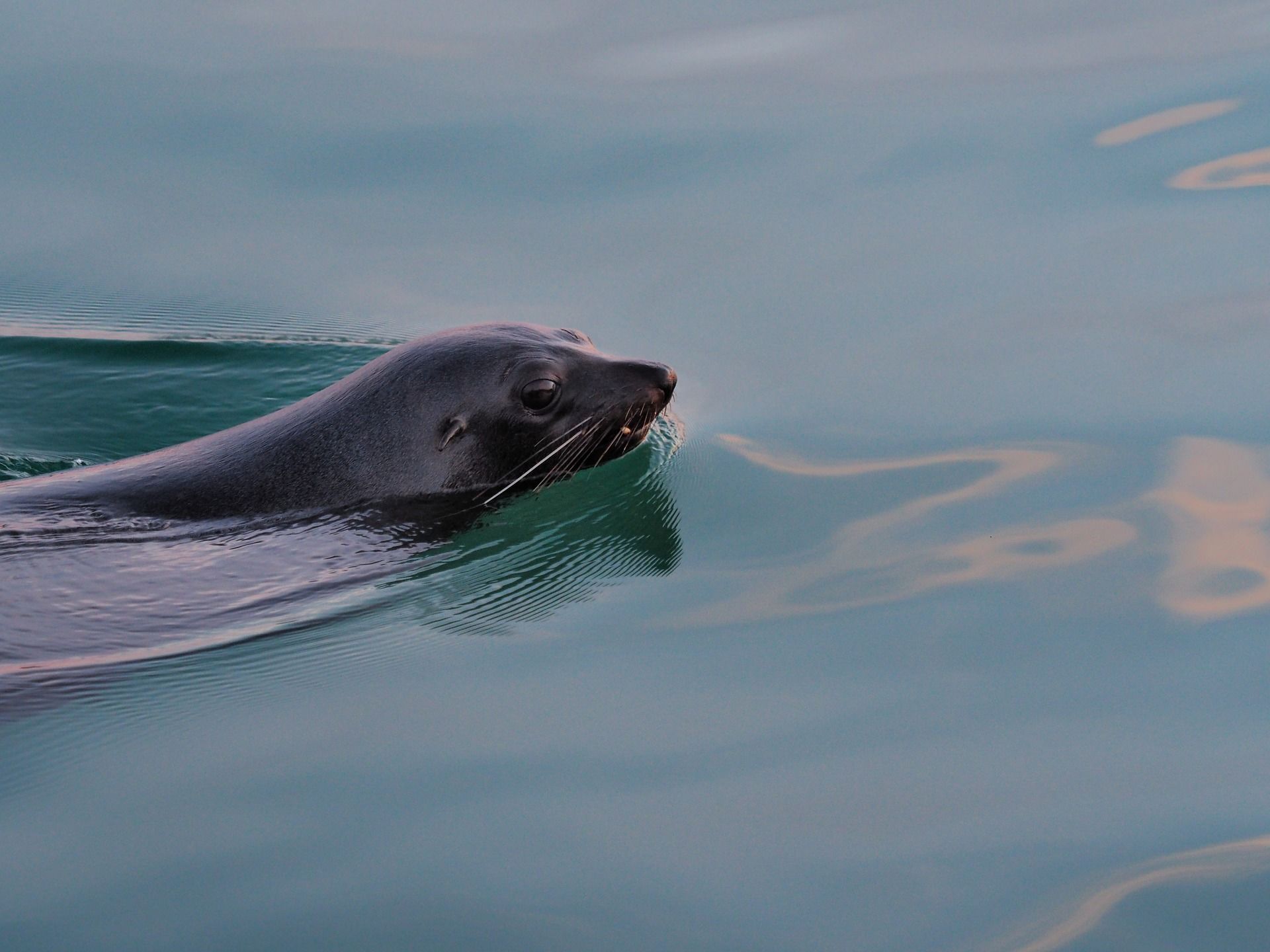 Van Sydney naar Melbourne