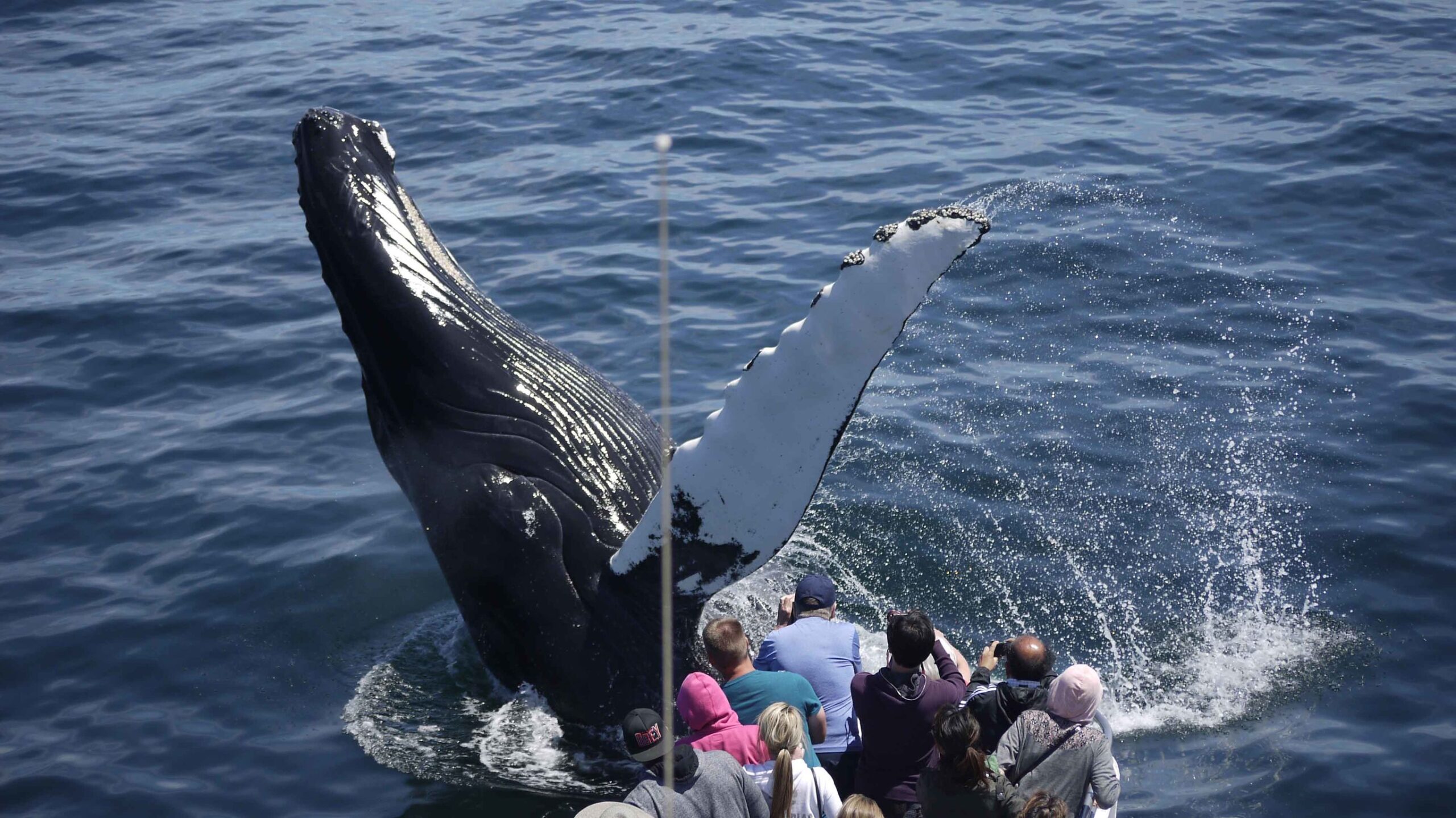 Noordoost-Amerika per trein