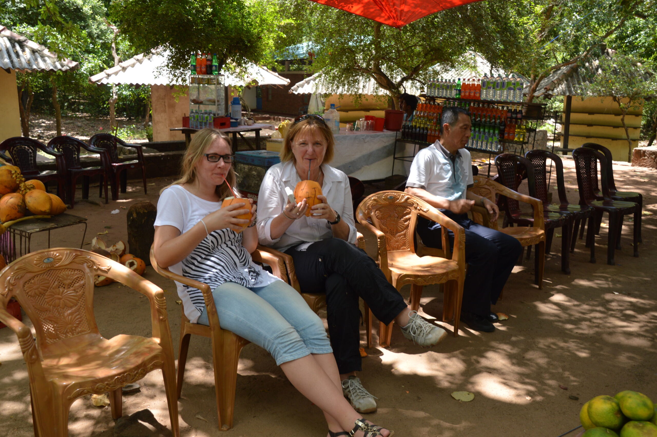 Kerstvakantie Sri Lanka in 2 weken