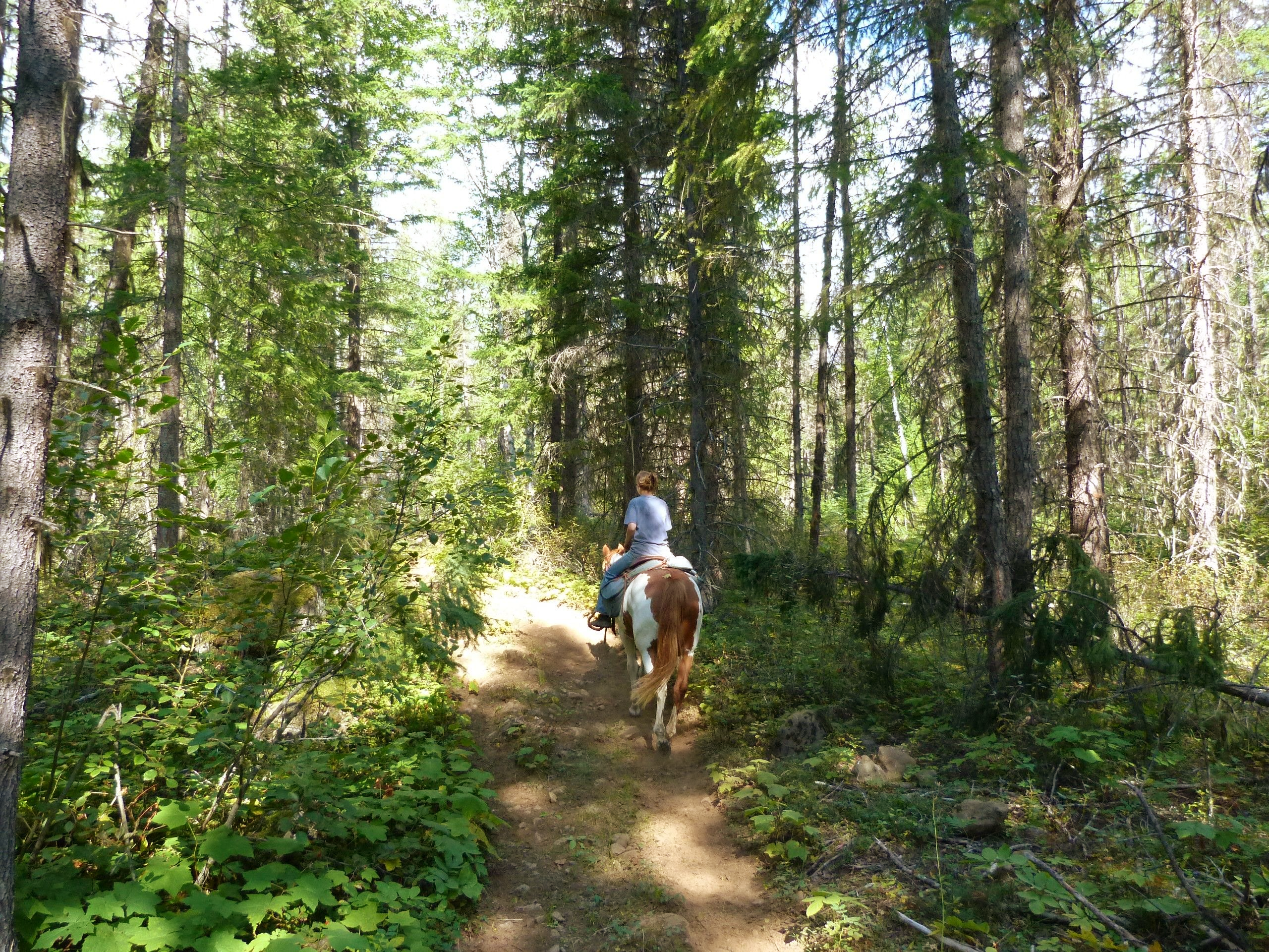 West-Canada en de Rockies