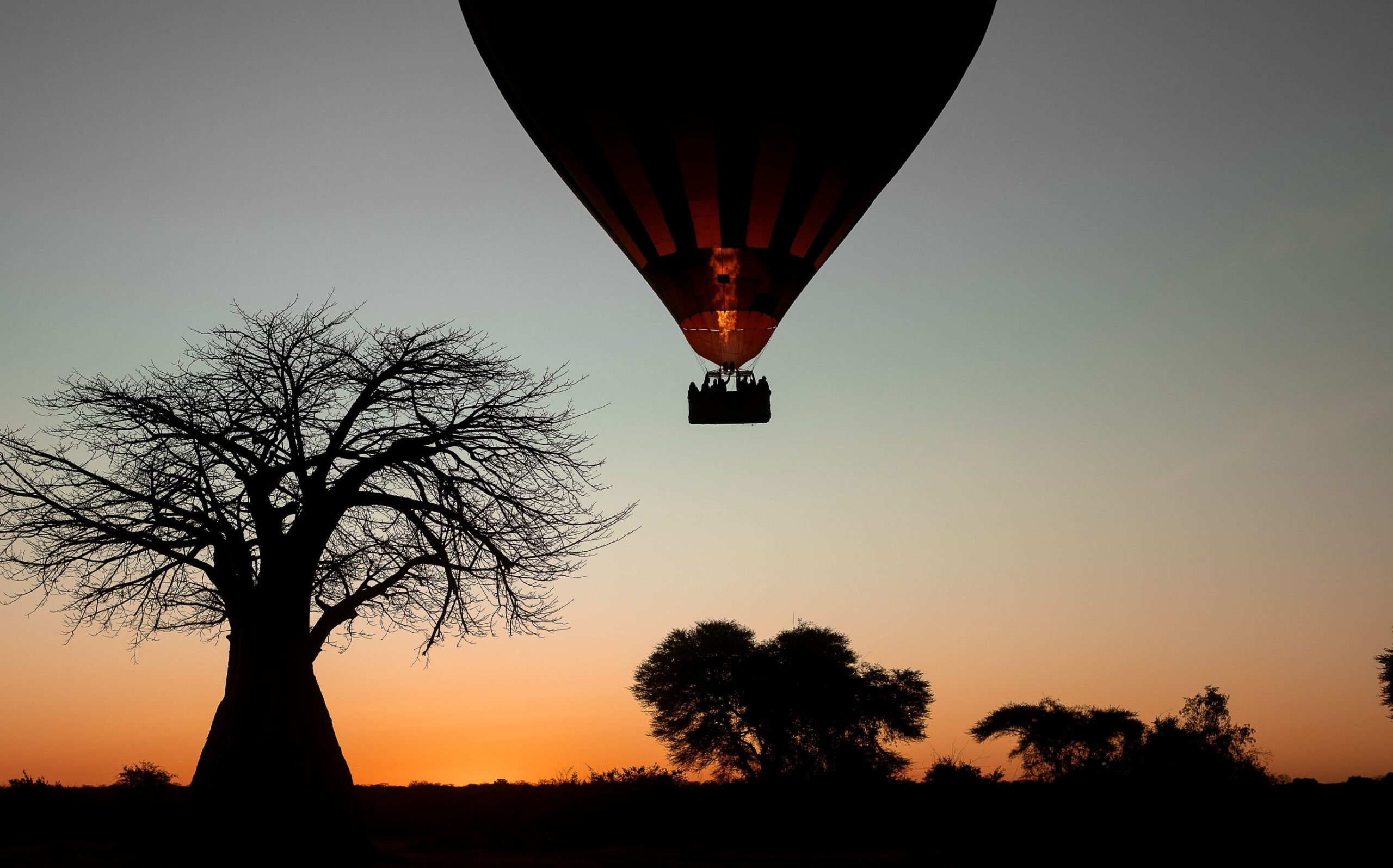 Safari en strandavontuur Zuid-Tanzania